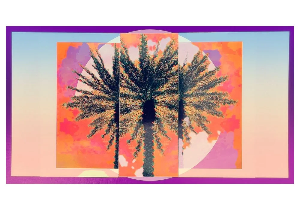 Palm Tree 6578