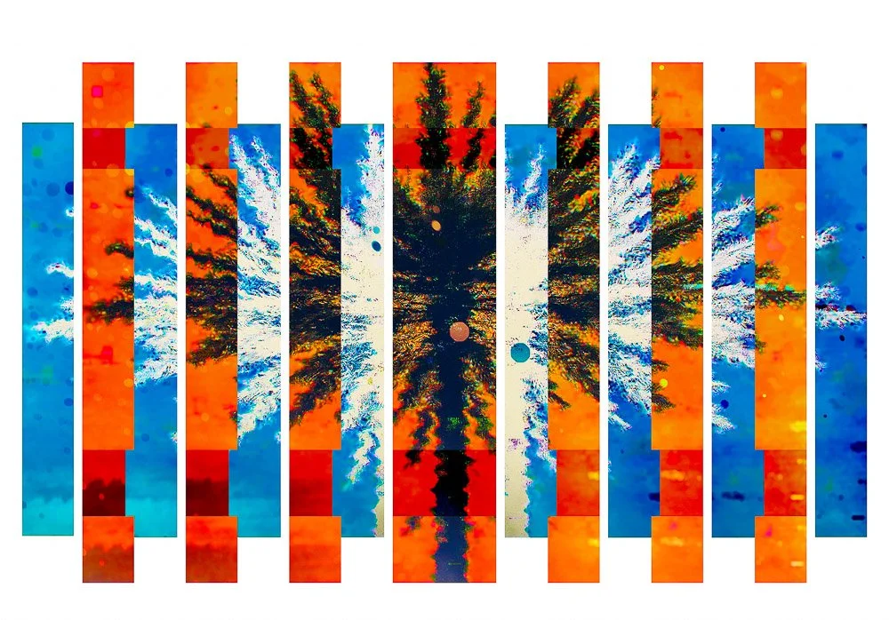 Palm Tree 5874