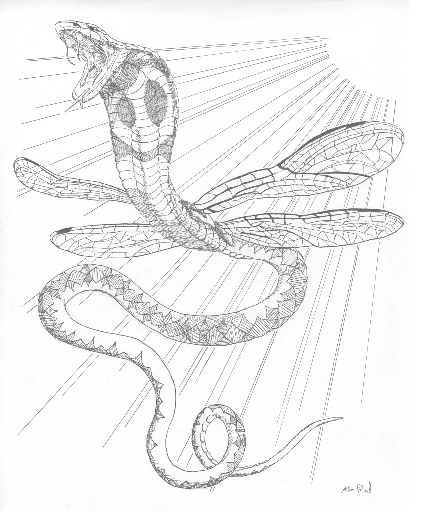 Snakefly