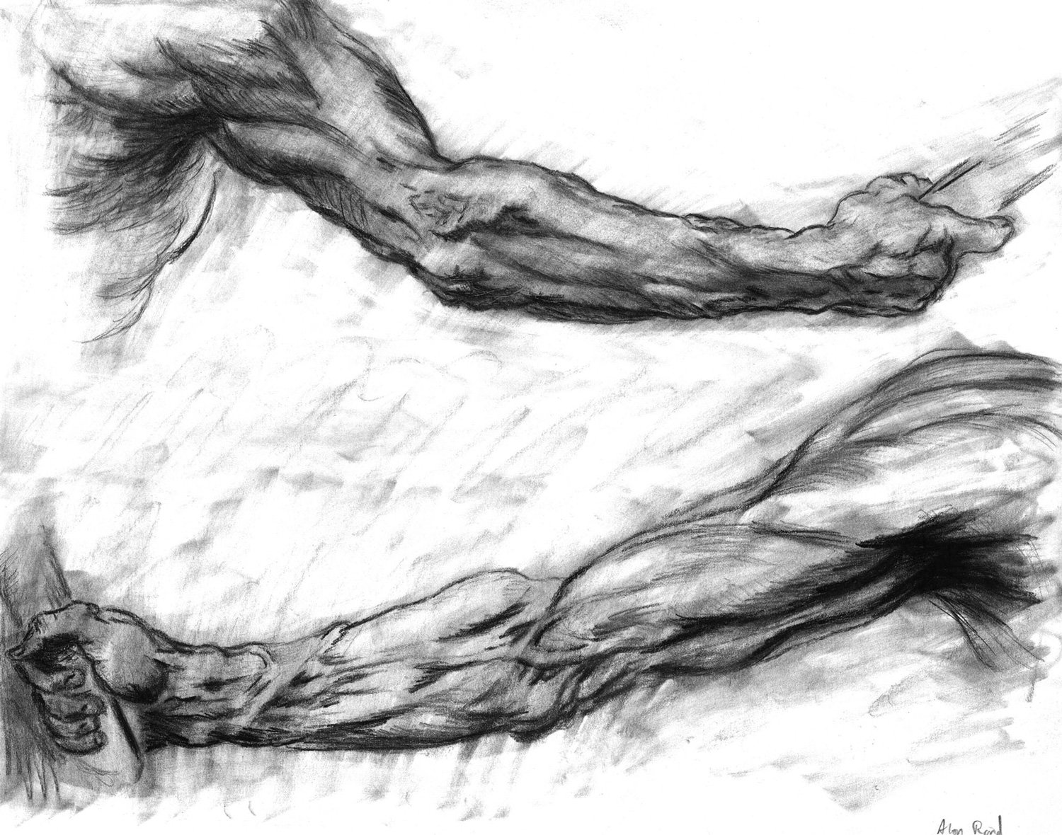 Charcoal Arms