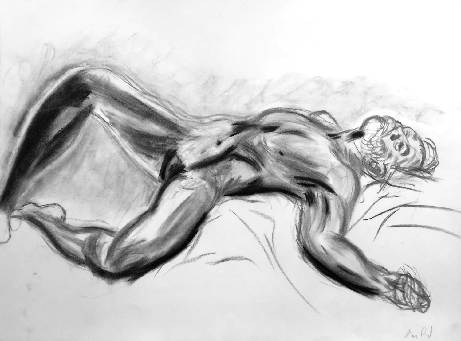 Anatomical Overlay Base