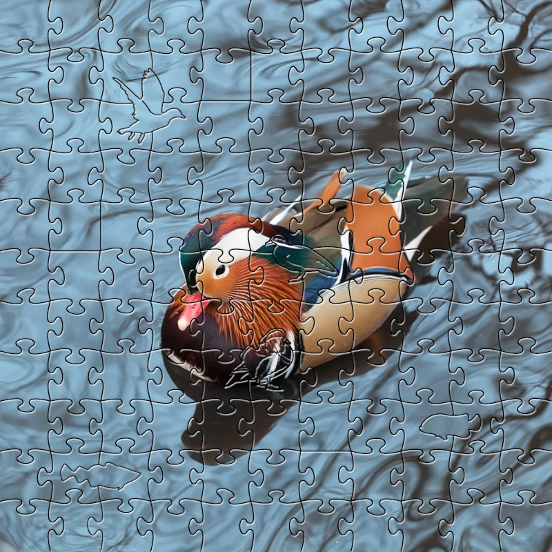 Zen Puzzles, Mandarin Duck Small