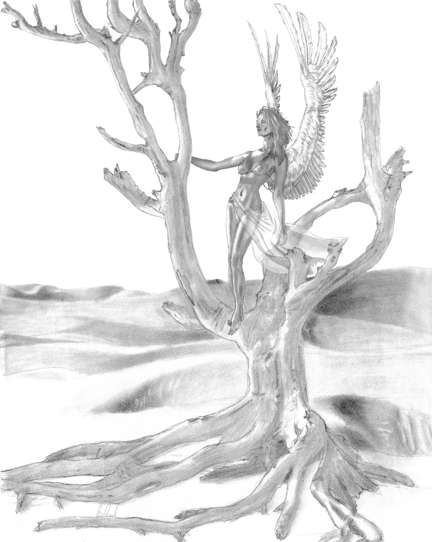 Desert Tree