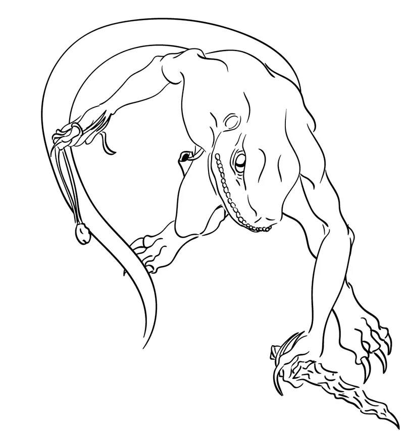 Finished Lines