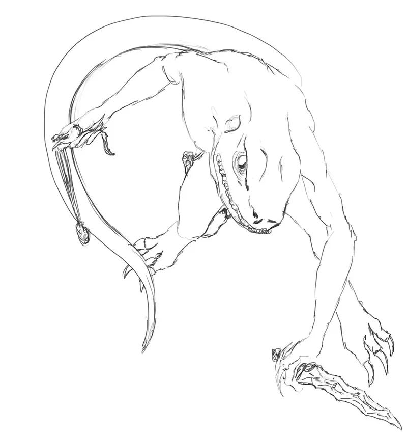 Rough Sketch
