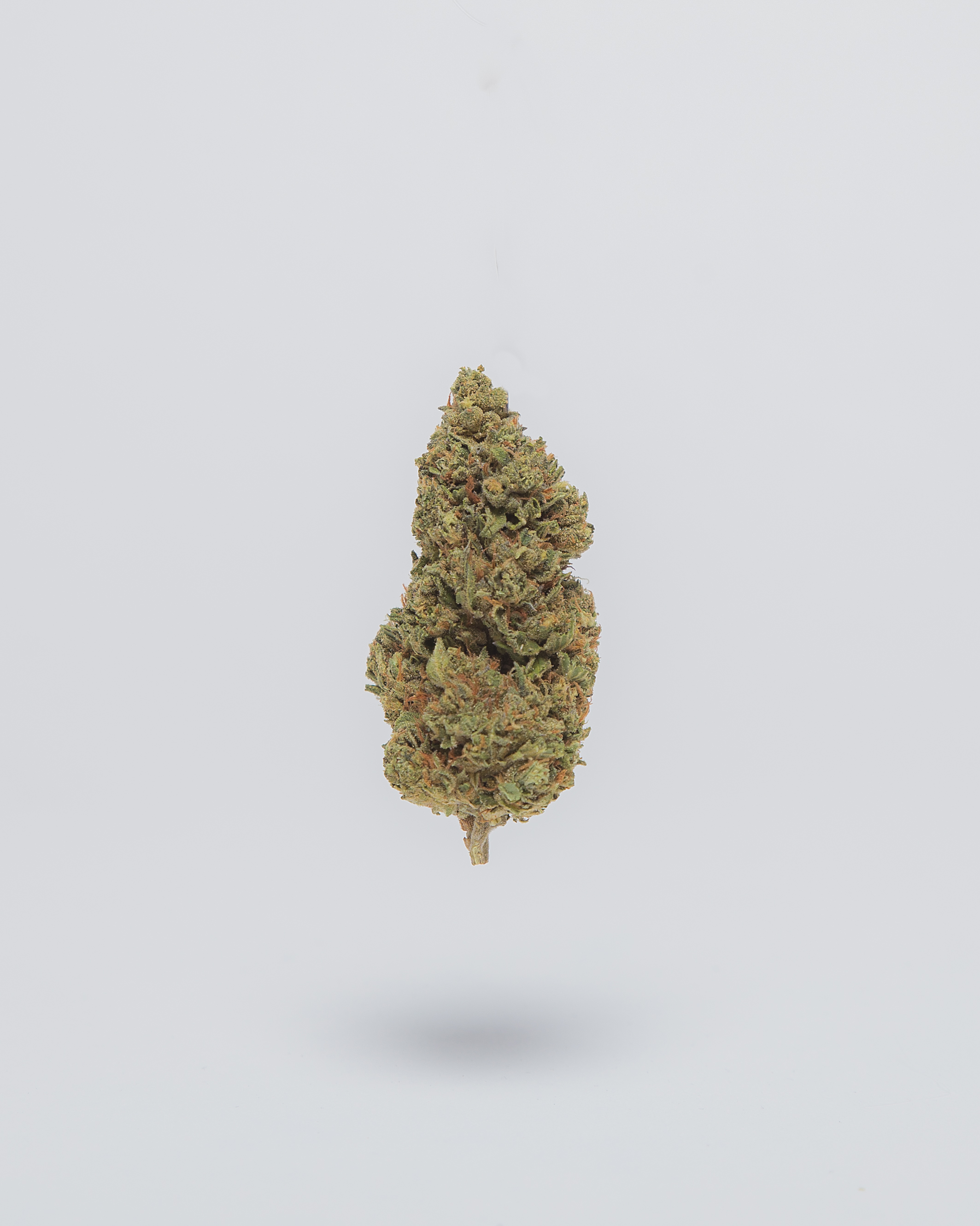 Copy of PLATINUM COOKIES_MG_4971.jpg