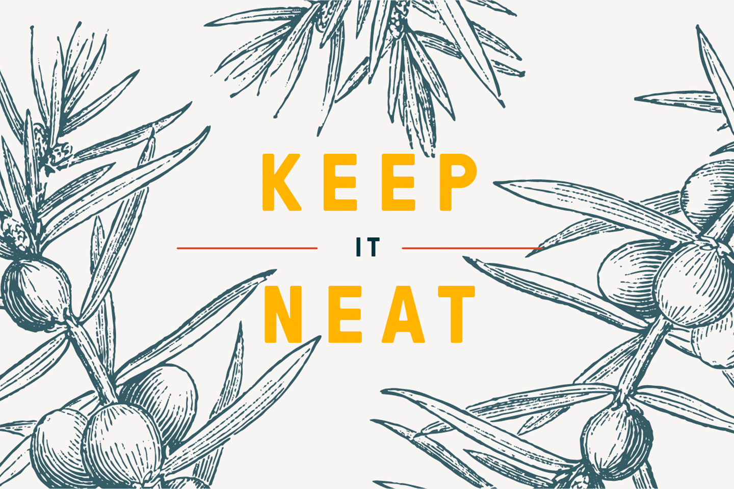 ANC-Keep-it-Neat.png