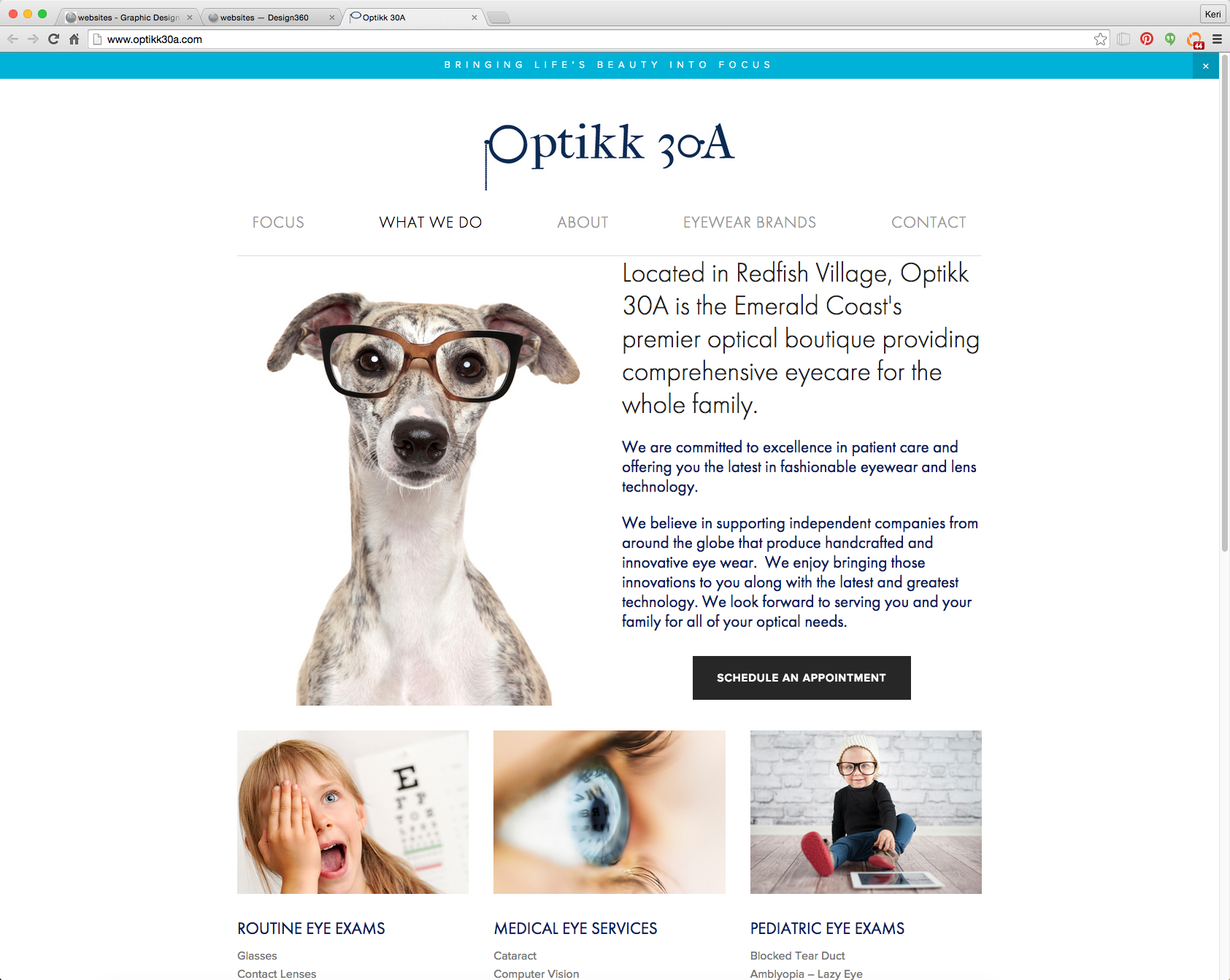 Design360_websites_optikk30a.png