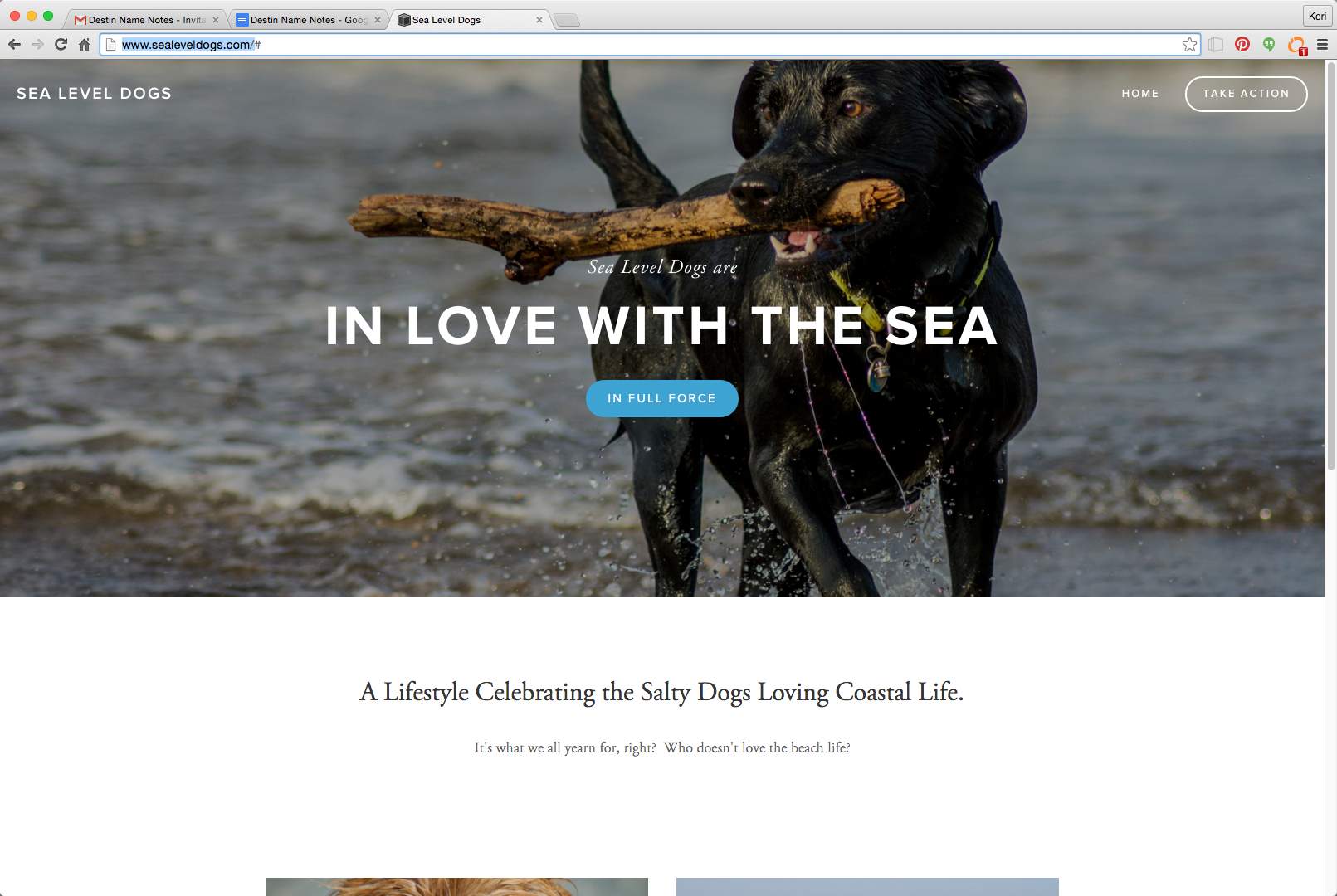 Sea Level Dogs: www.sealeveldogs.com