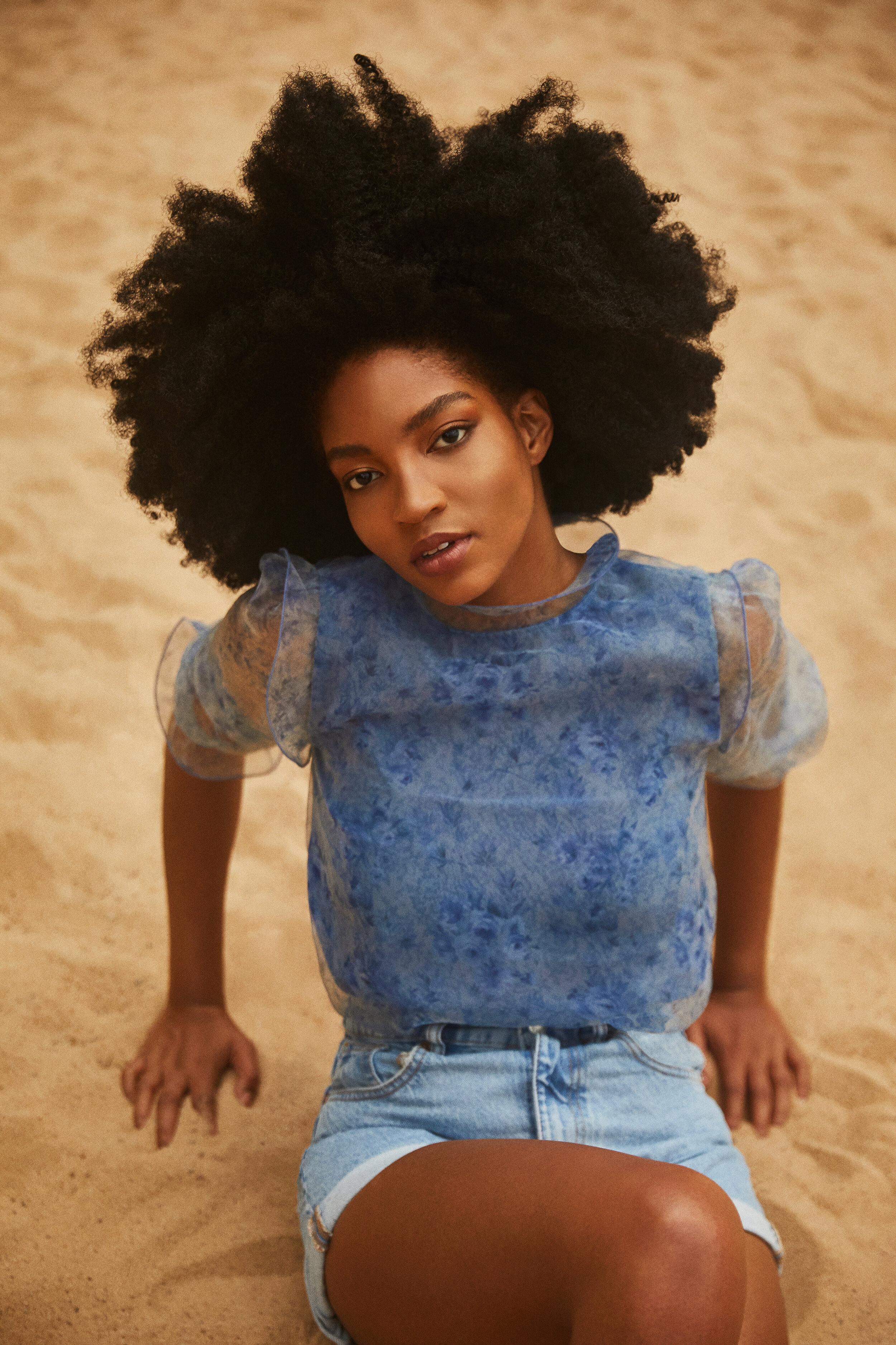 TAYLOR LITTLE X JOSEPH BRADLEY