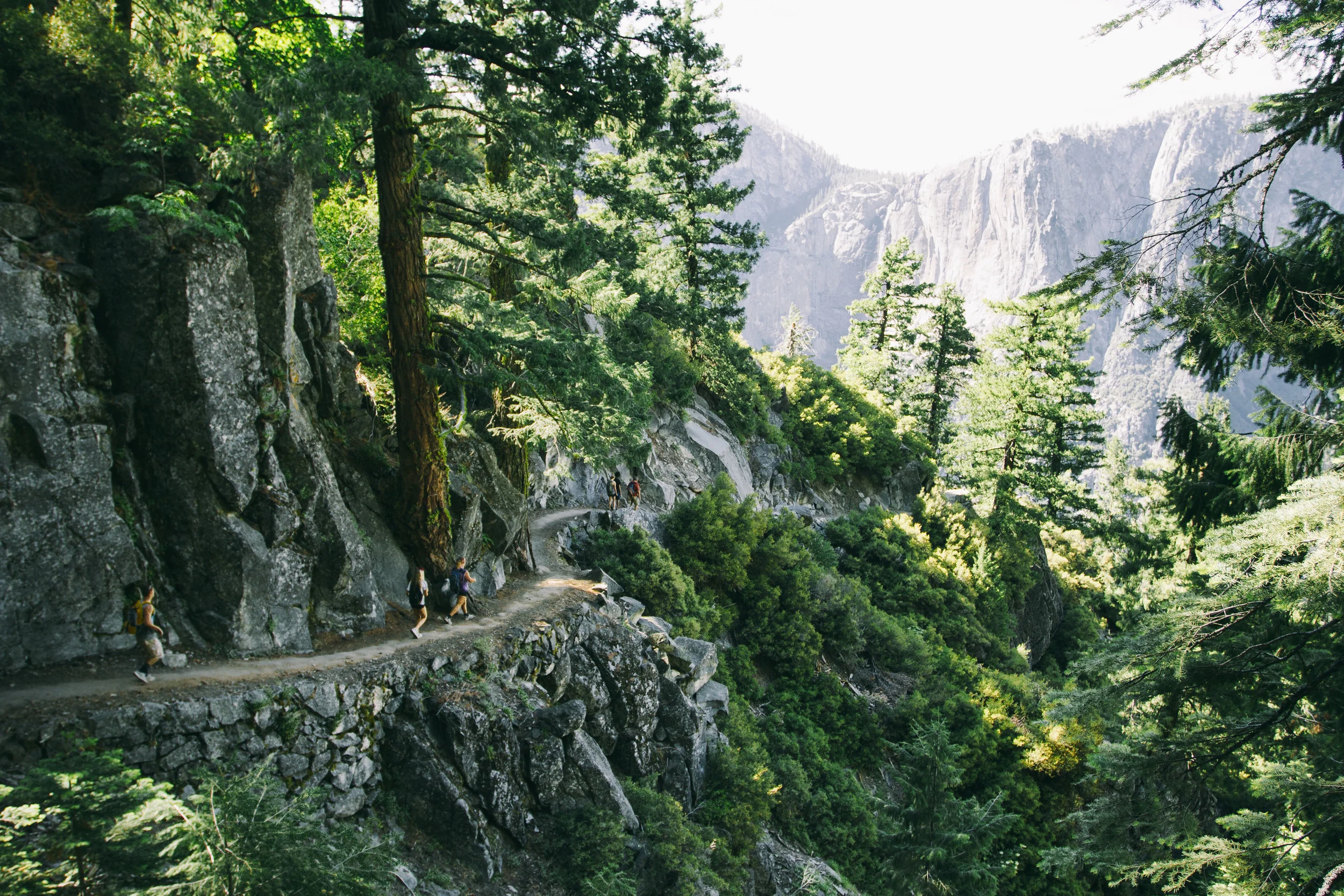 Yosemite Select Edit-4.jpg