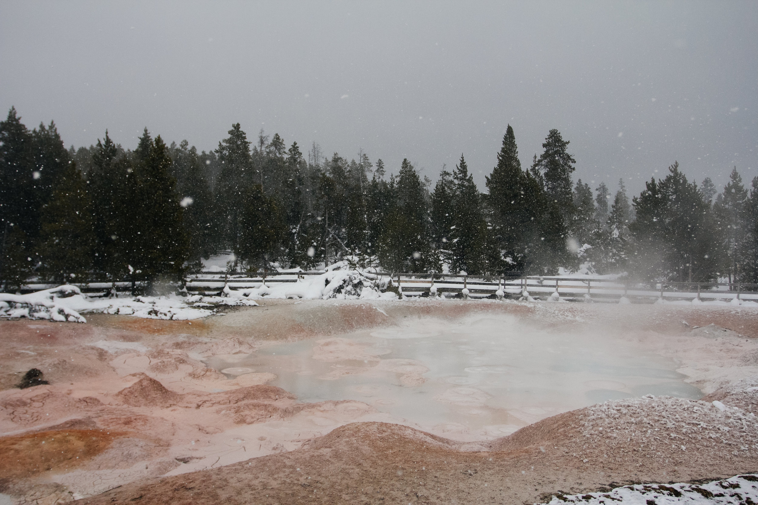 Yellowstone_Dec17-15.jpg