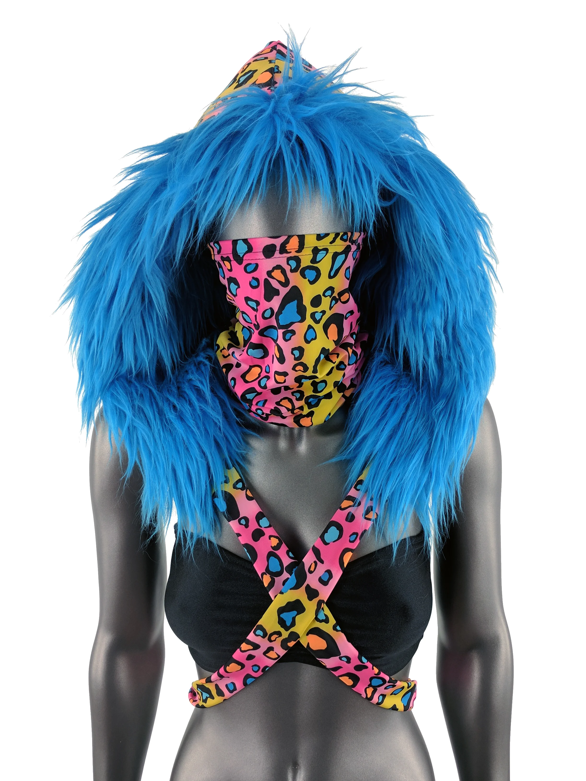 ElectricCheetah_Front.jpg