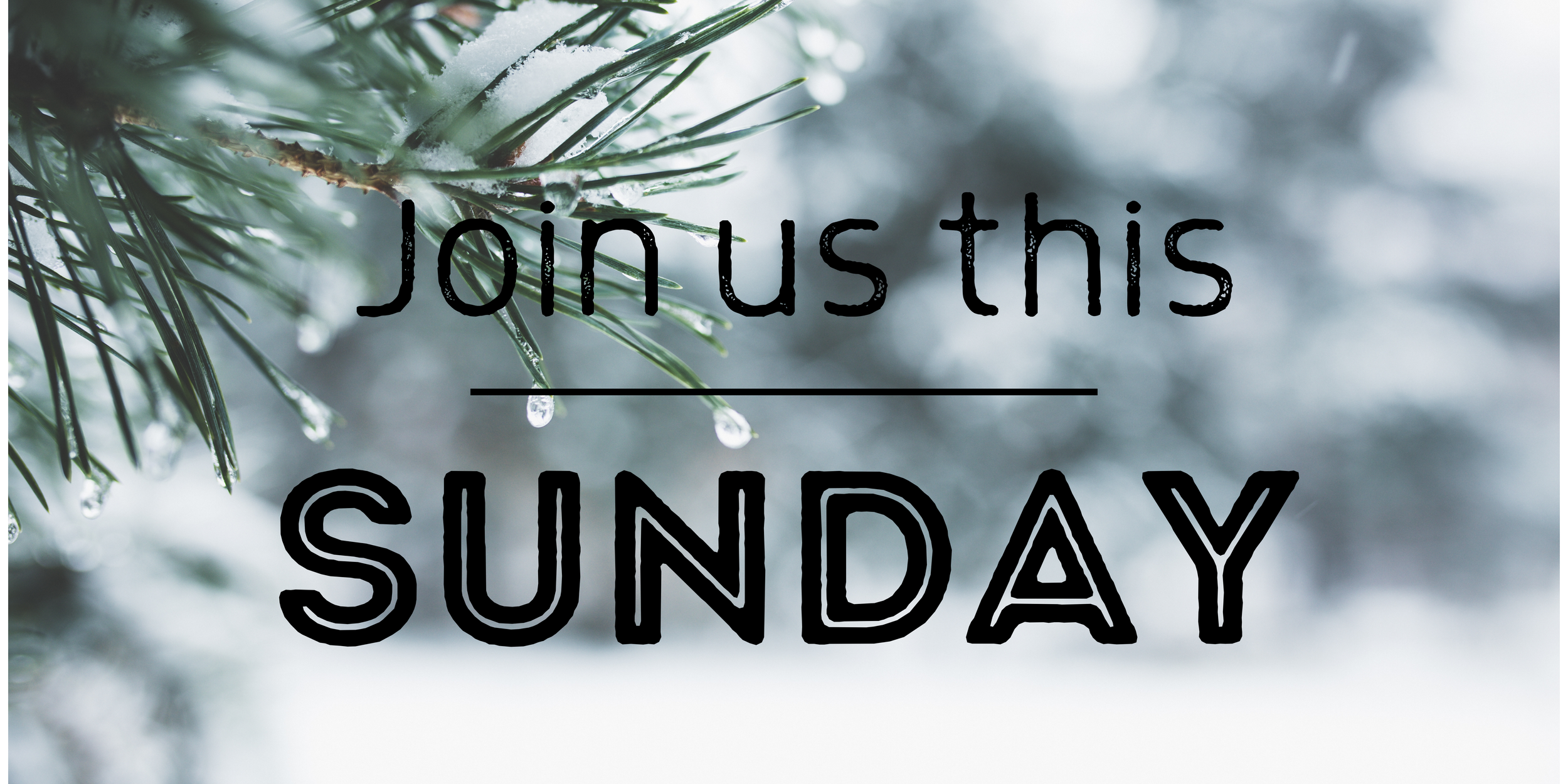 Join us this Sunday-2.png