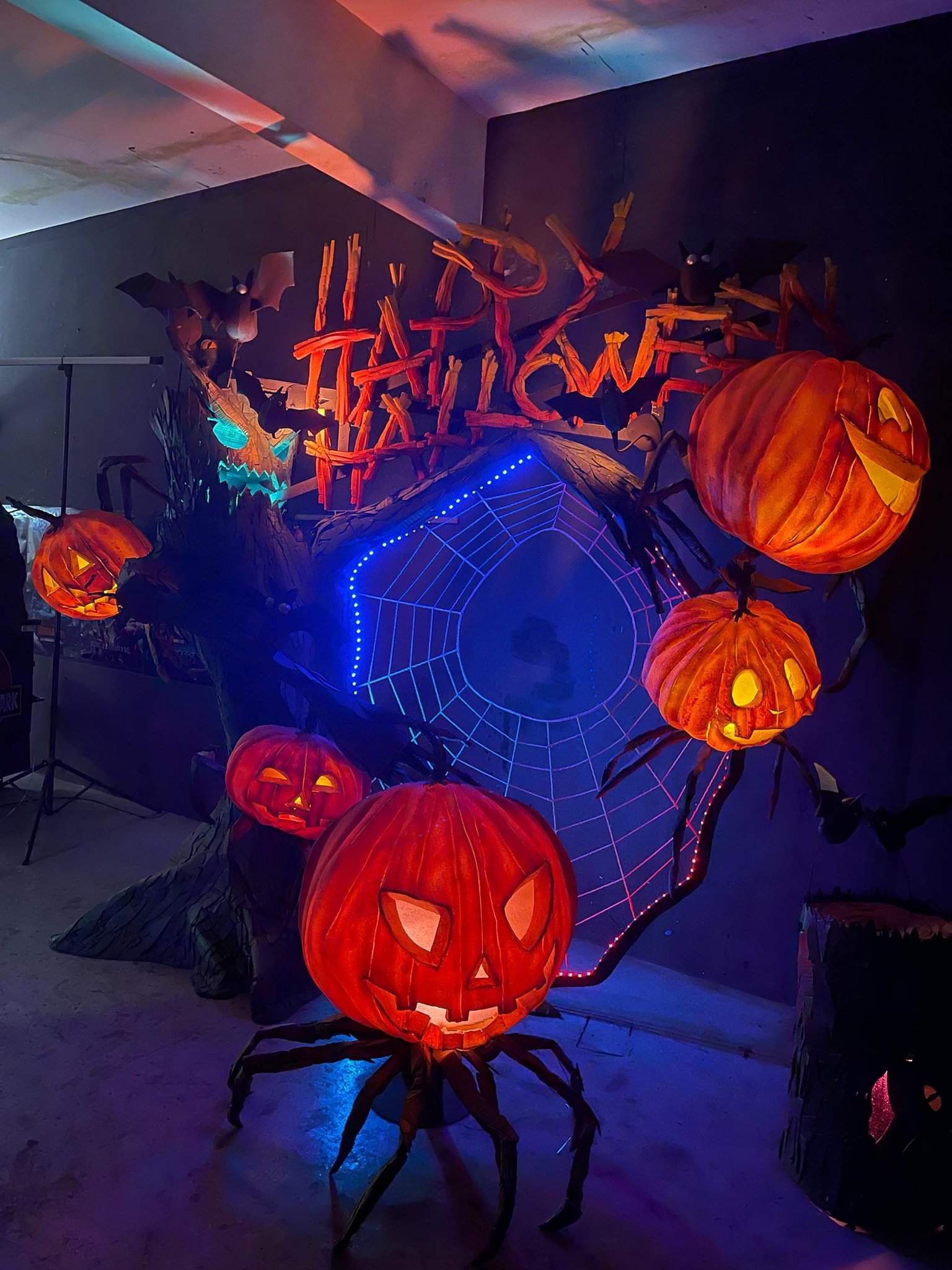 pumpkins with web.jpg