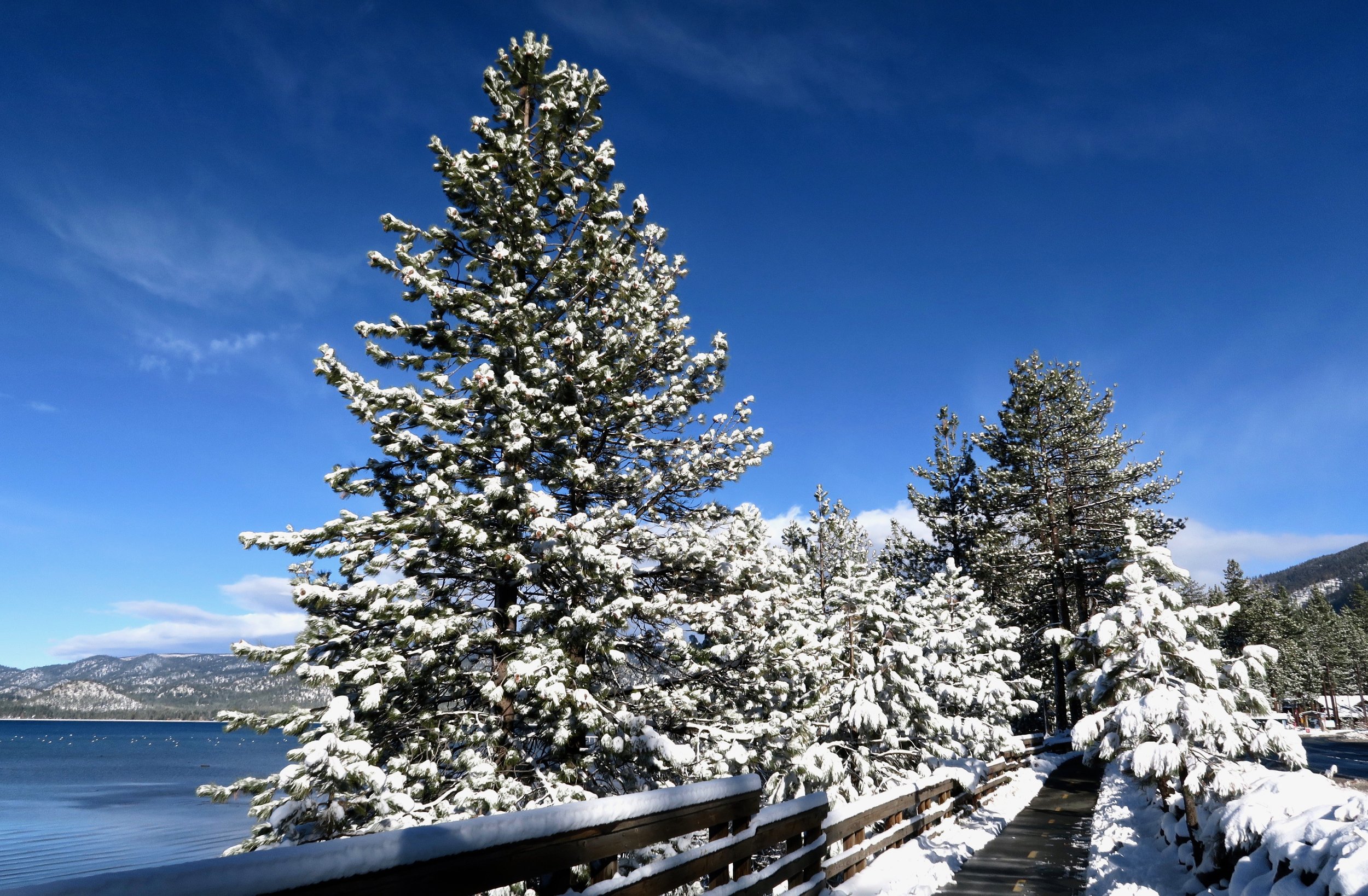 South Lake Tahoe California