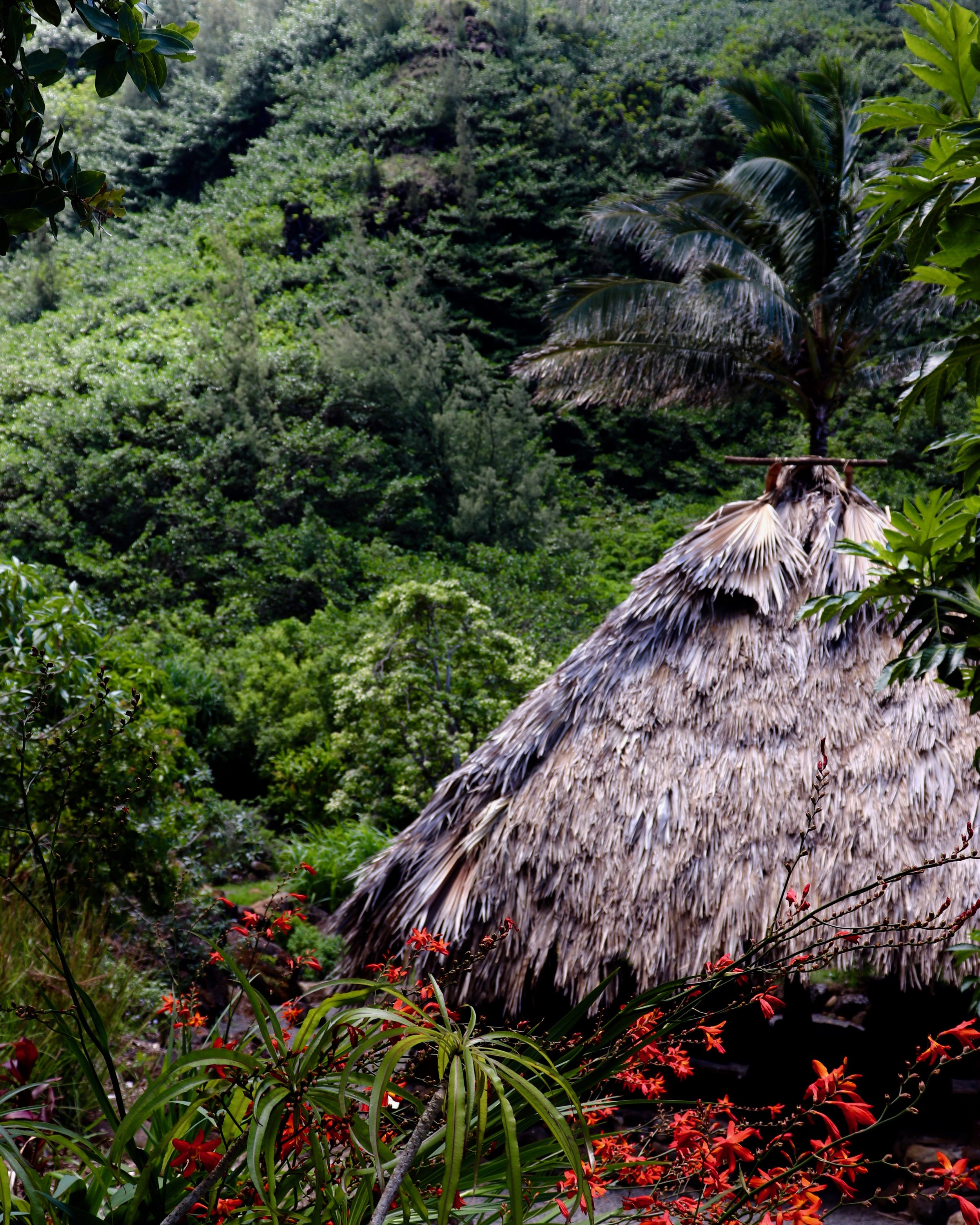 Kauai Hawaii