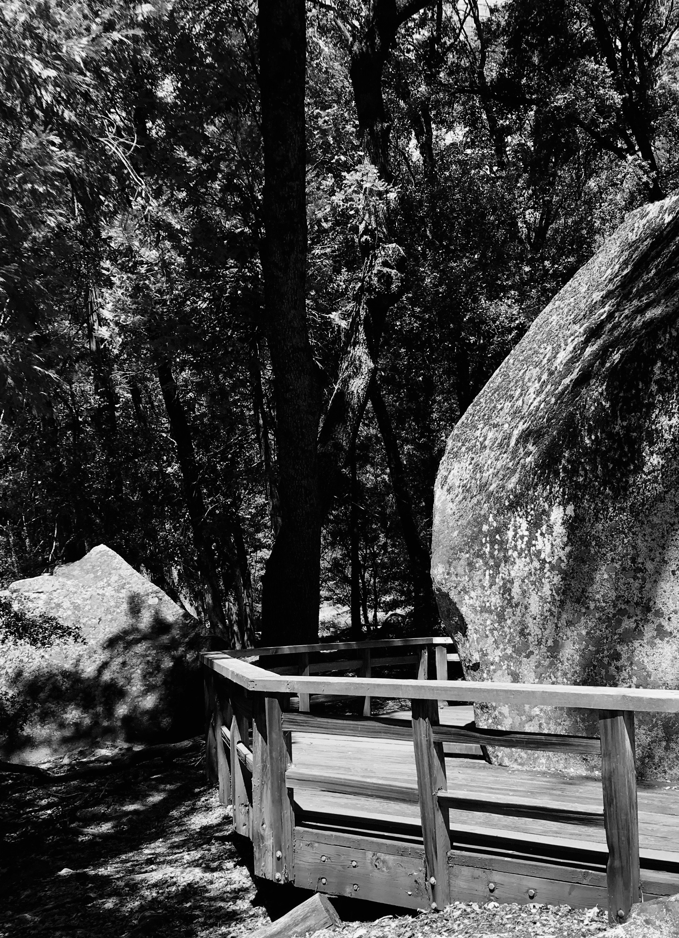 Yosemite California