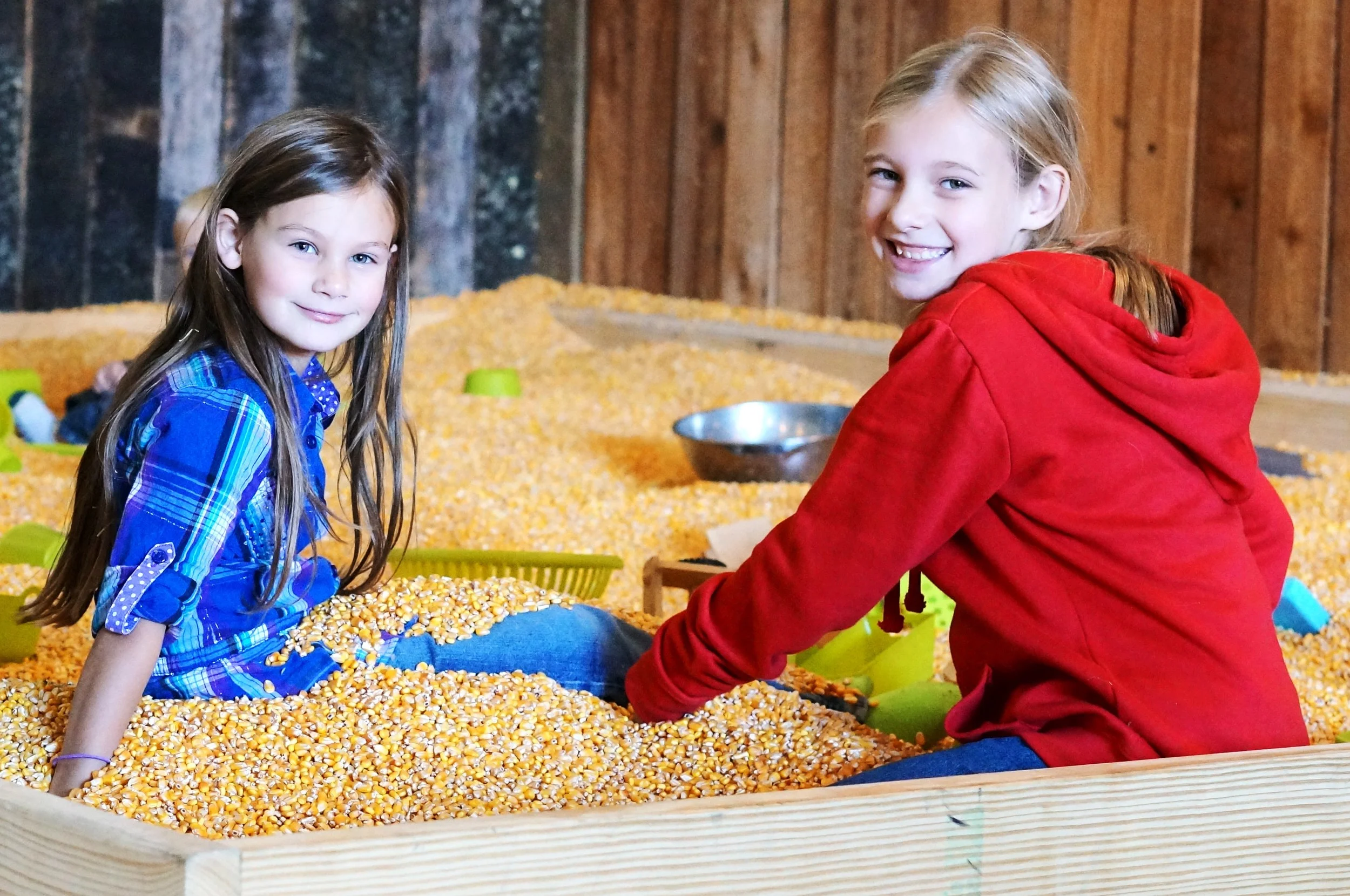 ECO Corn Box Fall Festival.JPG