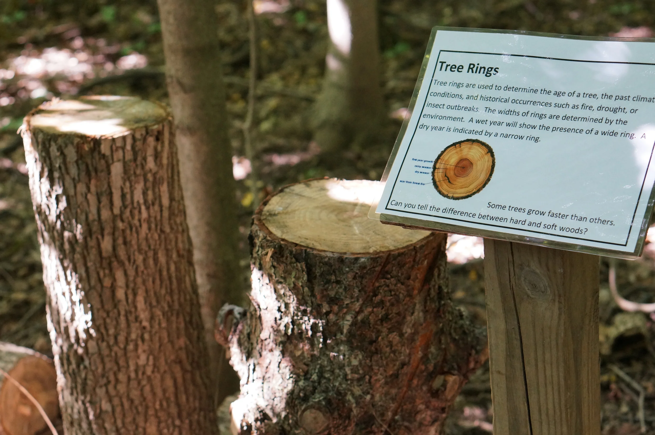 ECO CEnter fall festival ohio interpretive trail.JPG