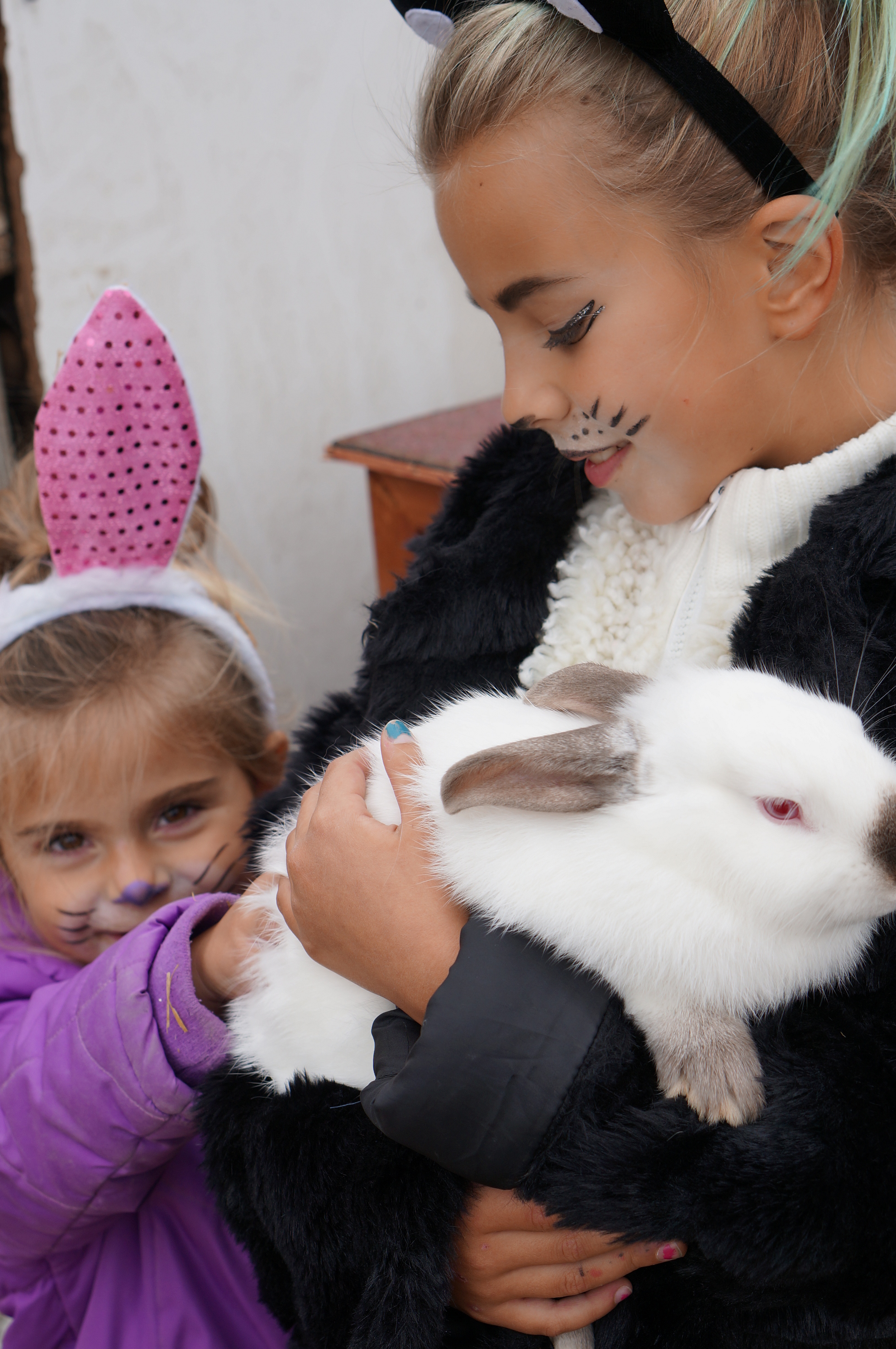 Trick or Treat ECO Center