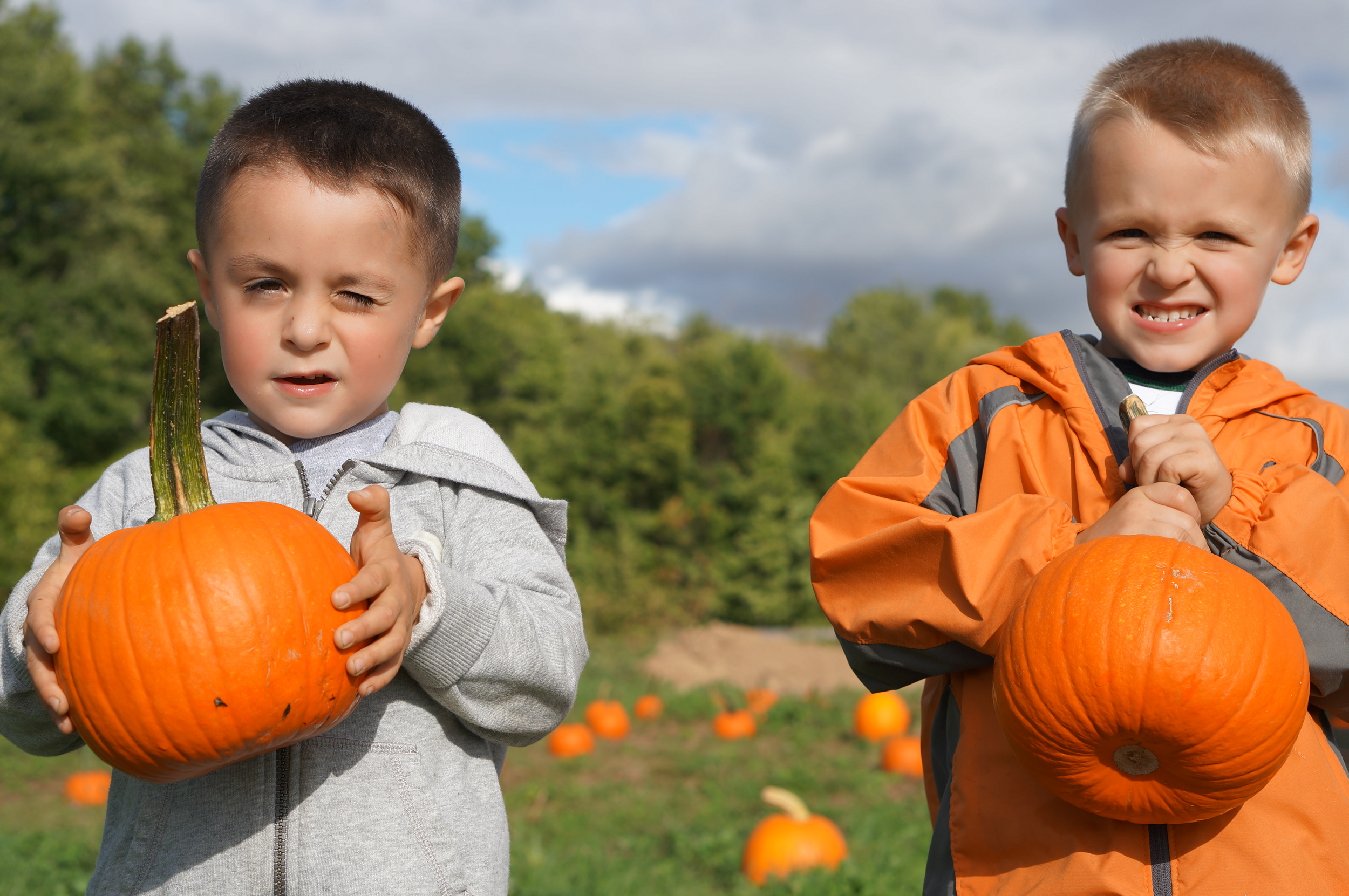 ECO Center Pumpkin Patch