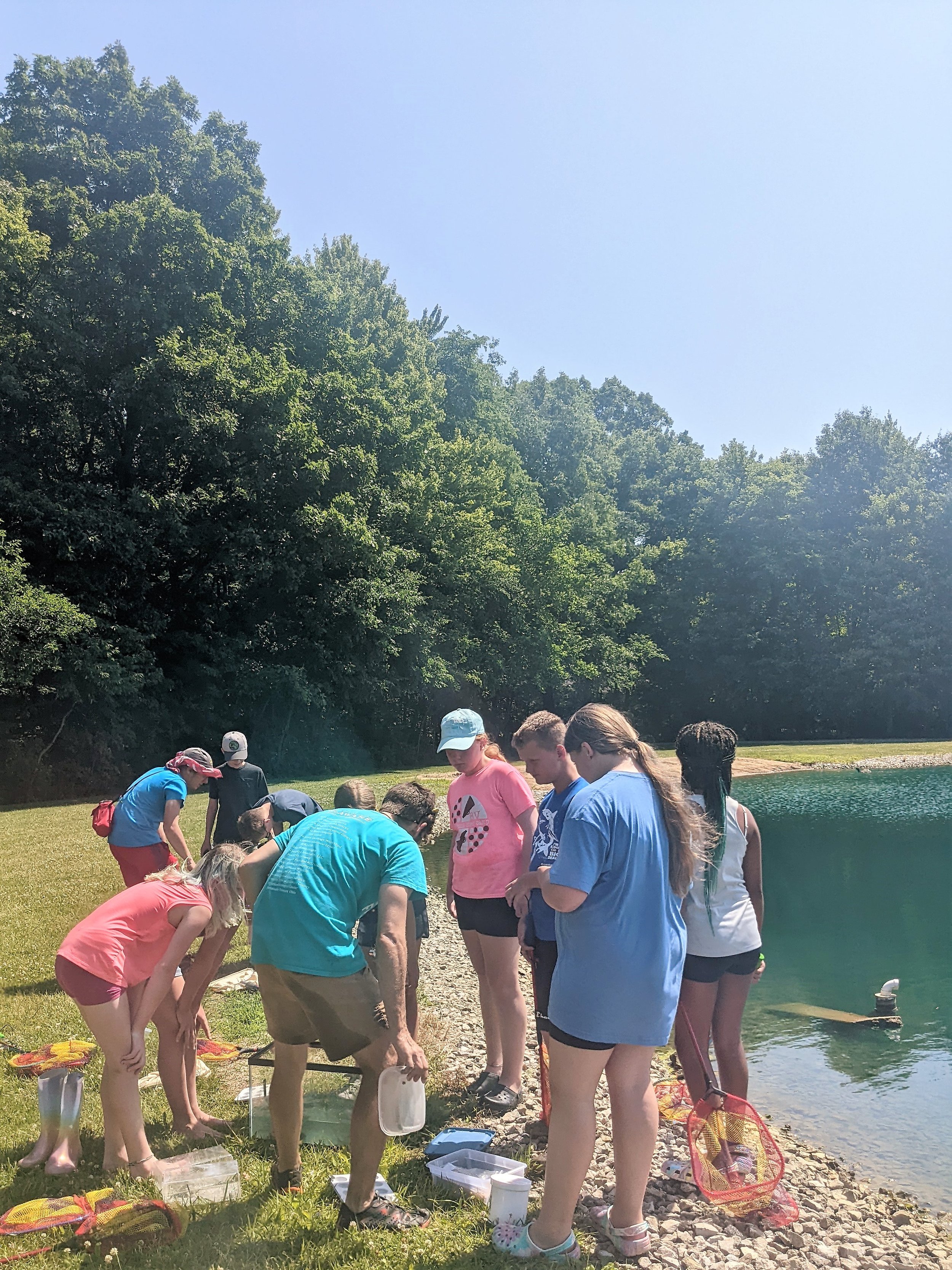 frogs at pond.jpg