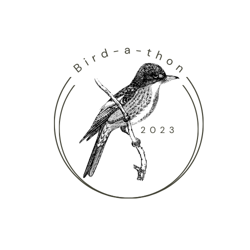 Bird-a-thon (1).png