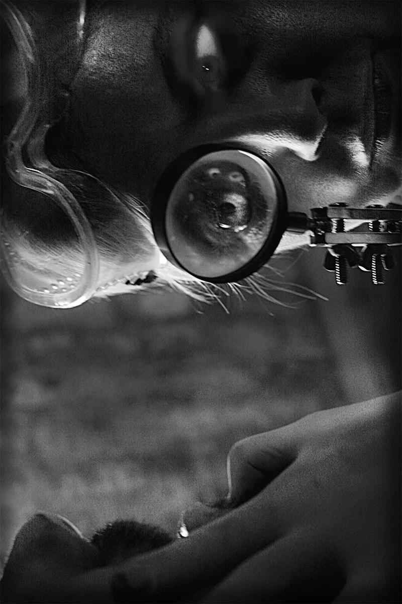 The Examination
