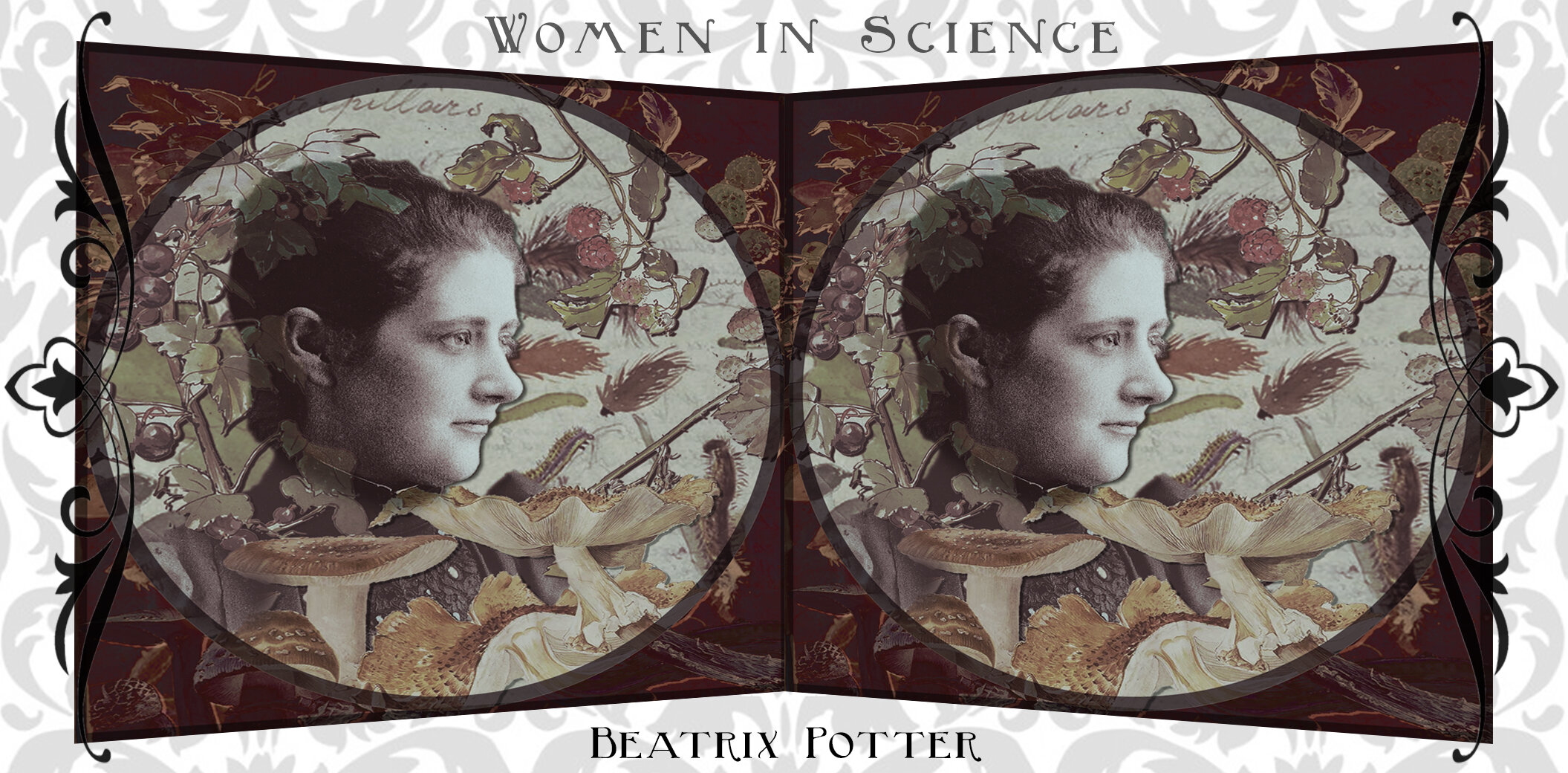 Beatrix Potter.jpg