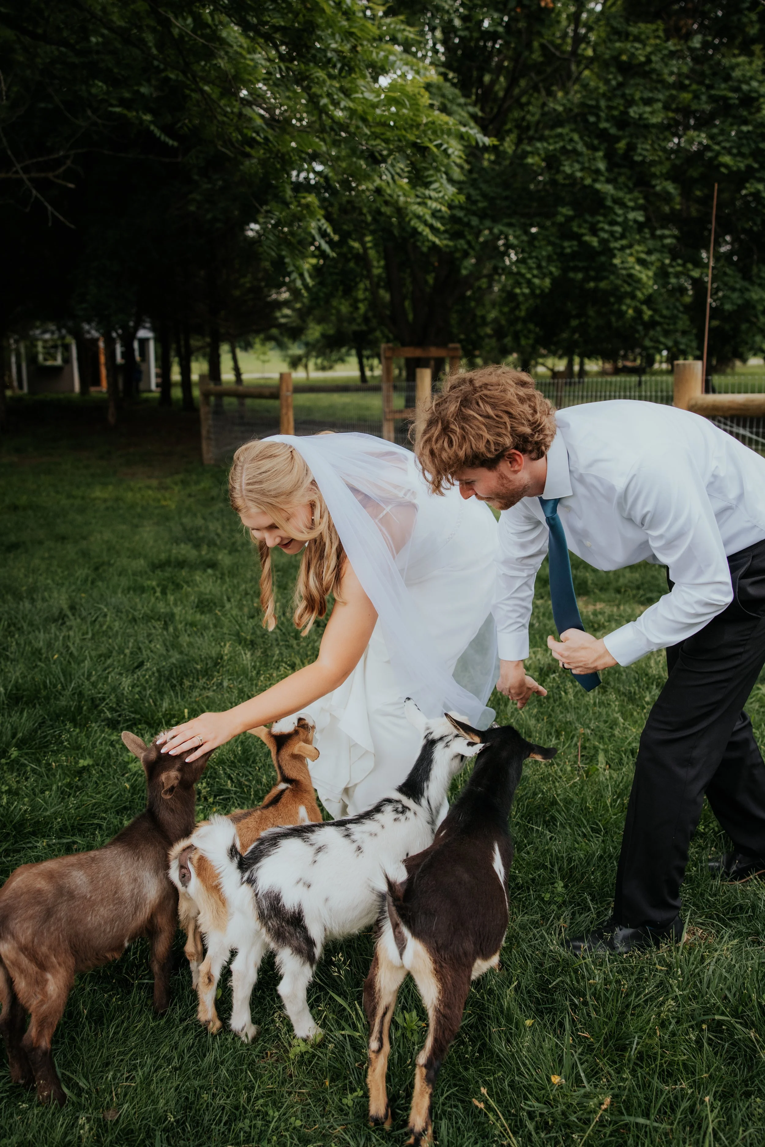 Fortville Wedding Photographer