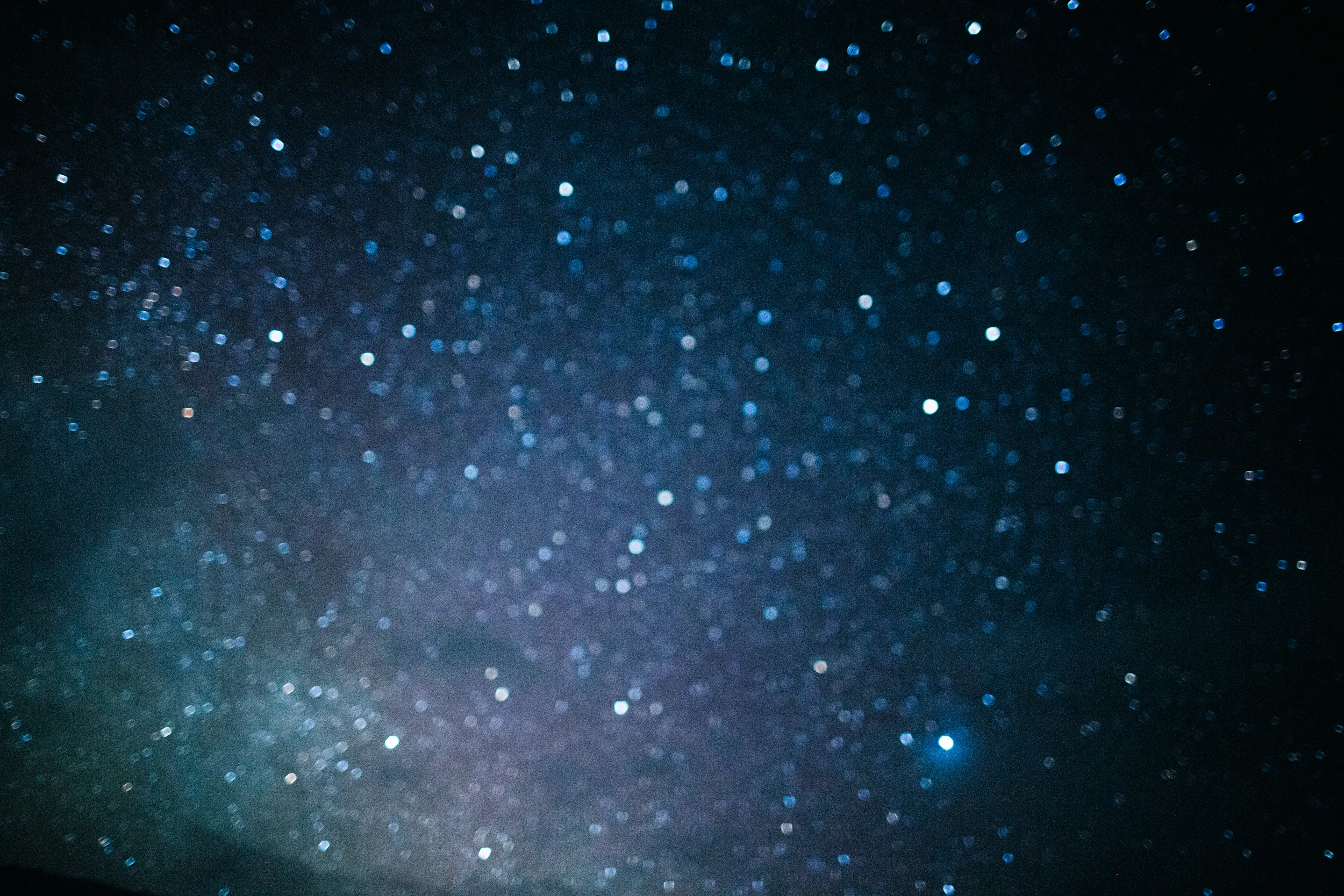 3O0A4474.jpg