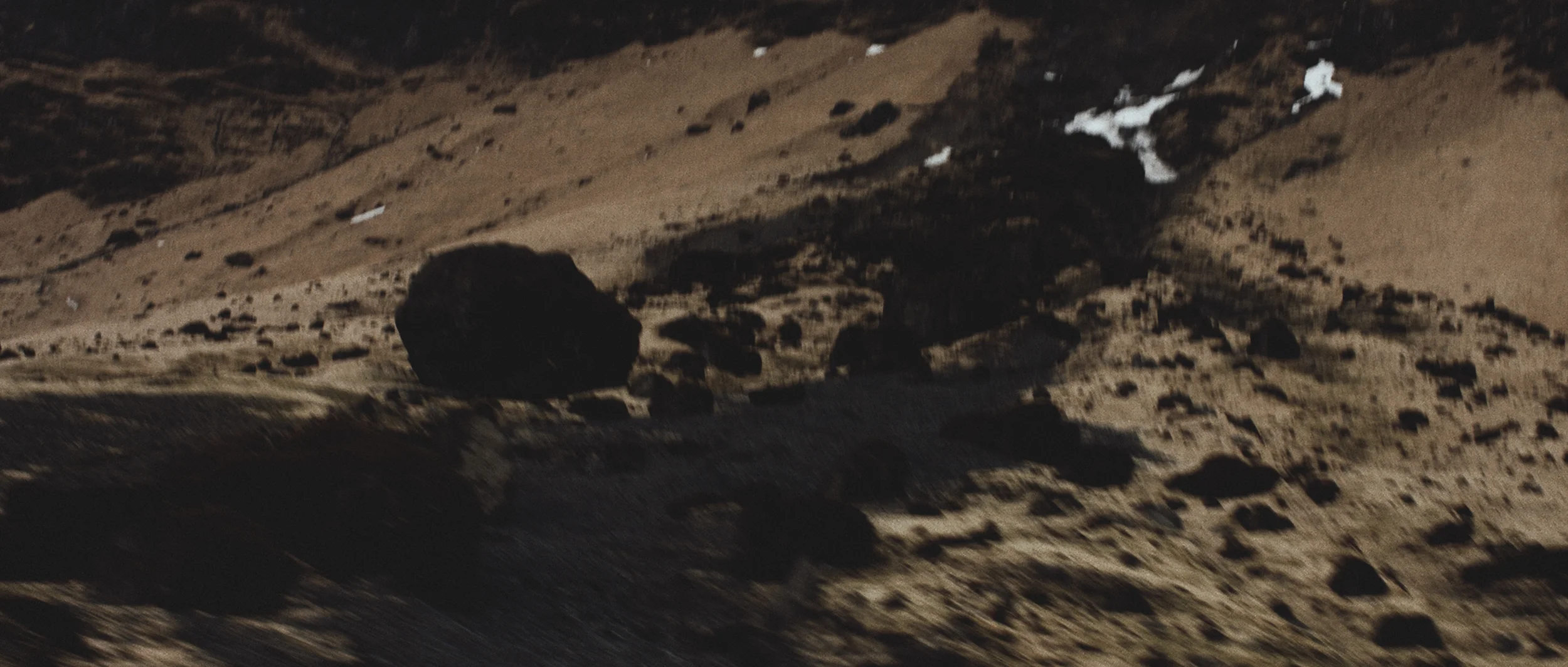 Sequence 03.00_00_56_04.Still016.jpg
