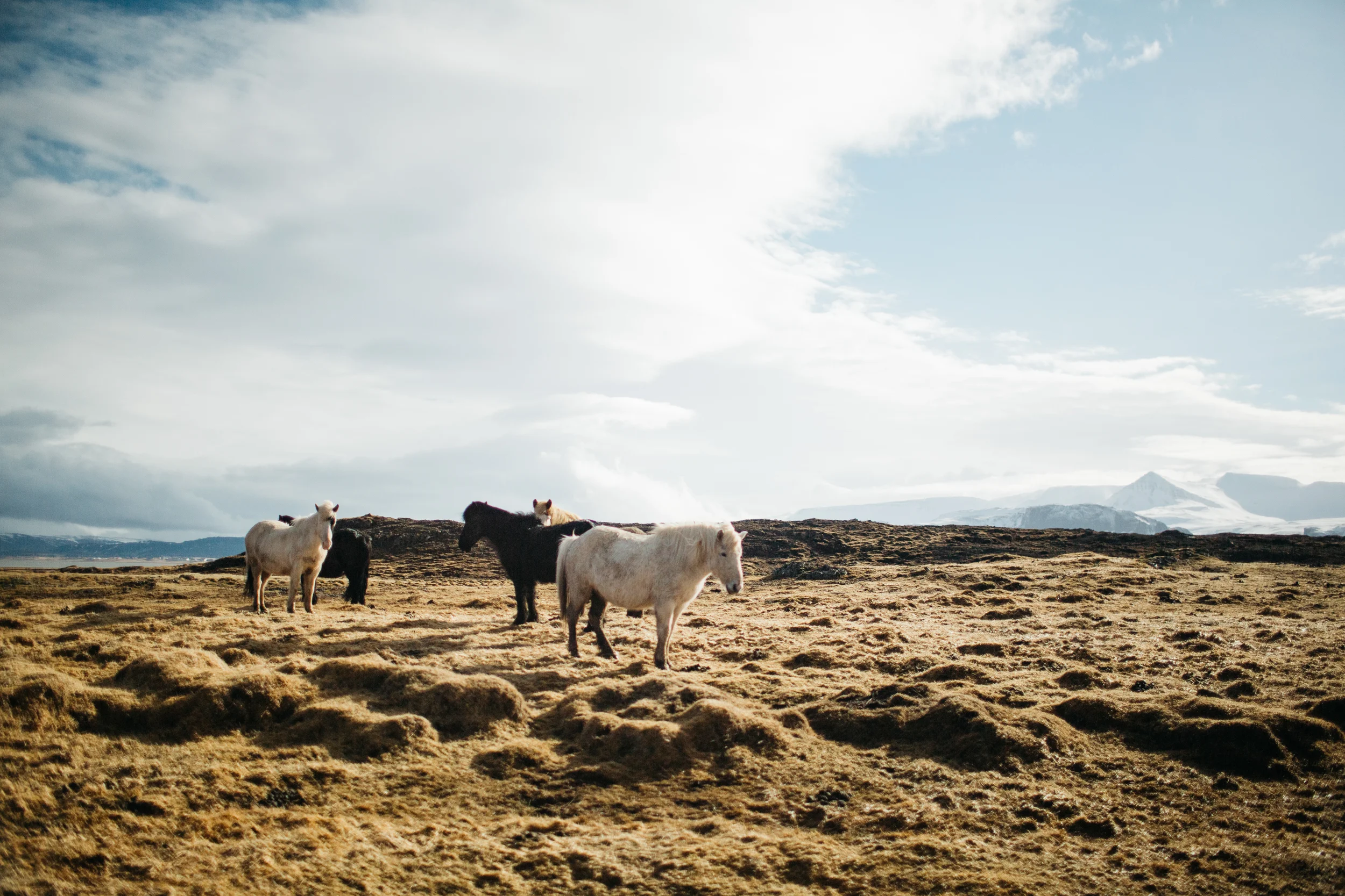 iceland_blog-70.jpg