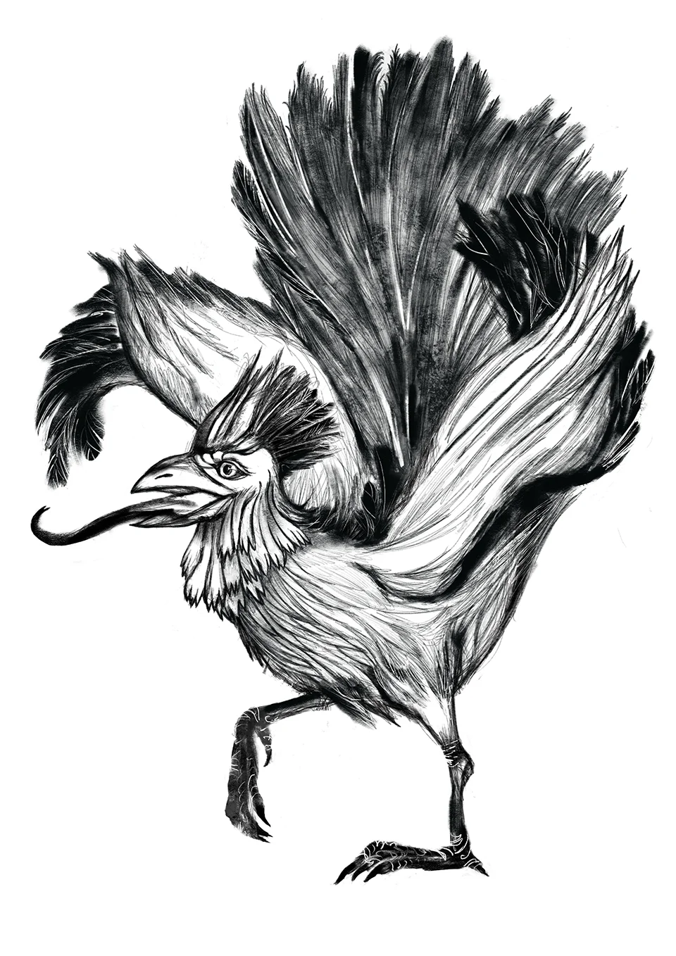 Untitled_Artwork 1.jpg