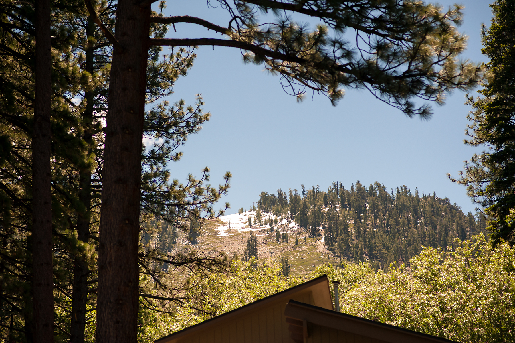 DSC_7073.jpg