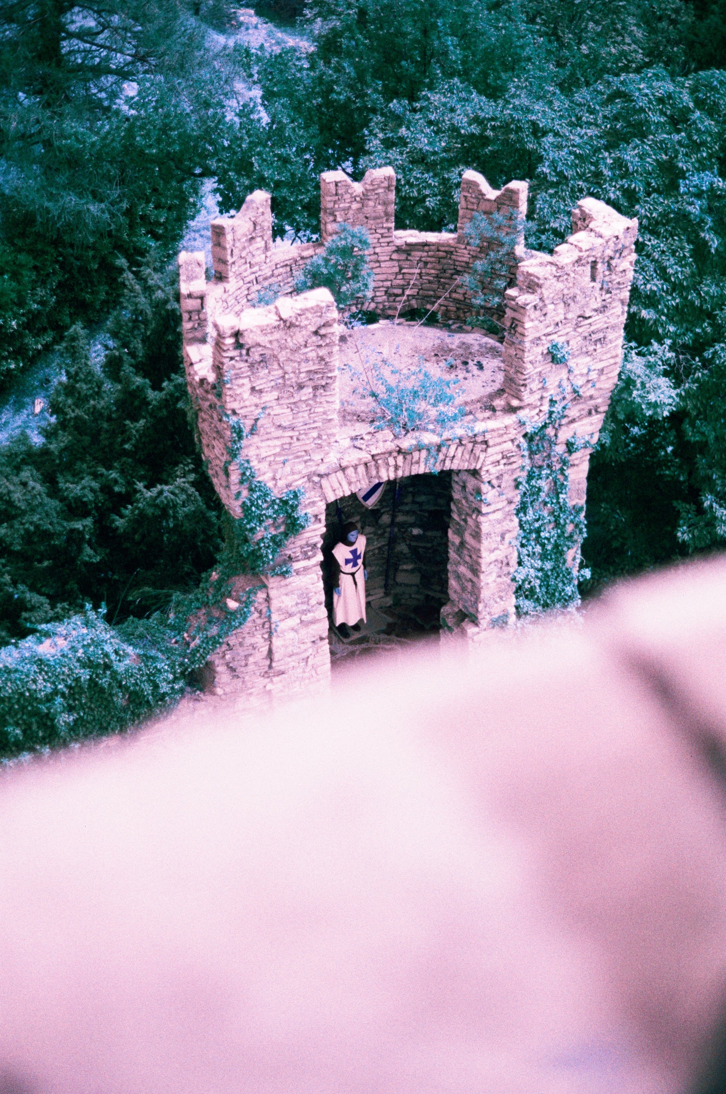 11591_21.jpg