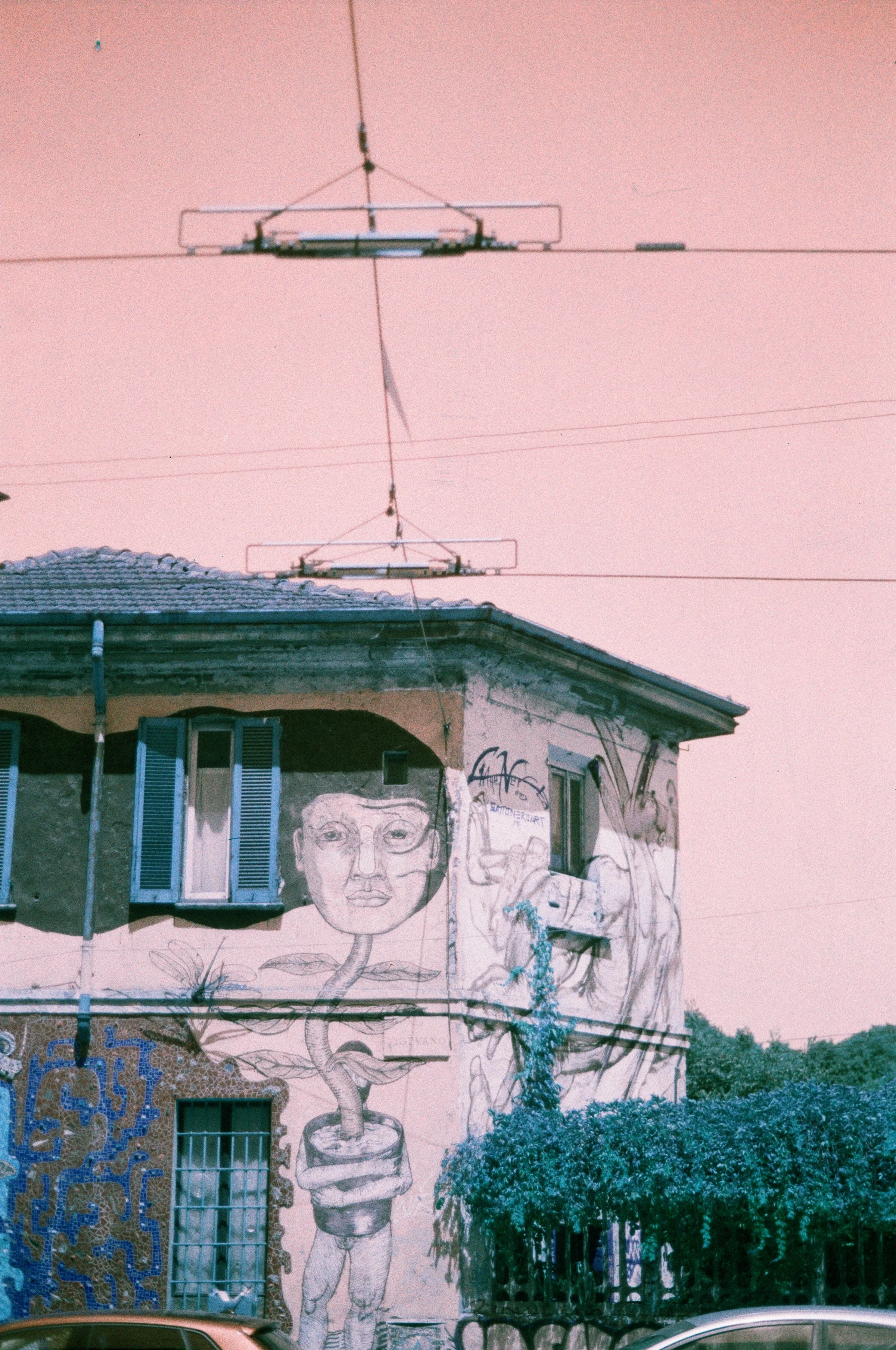 11590_36.jpg