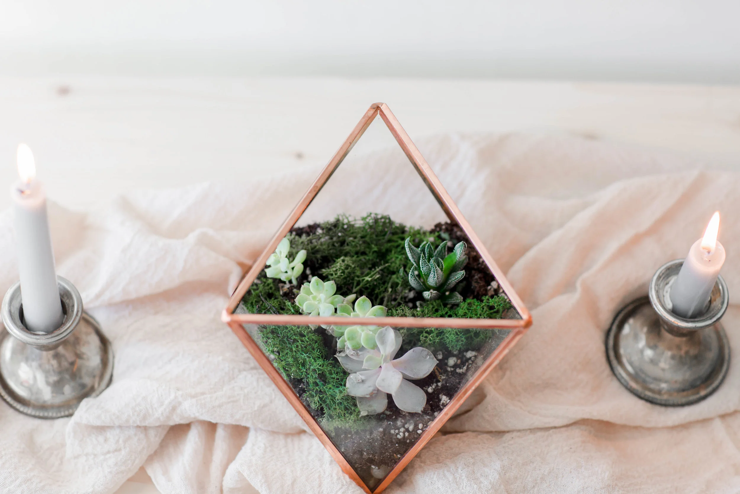 MeaghanClarePhotography-46.jpg