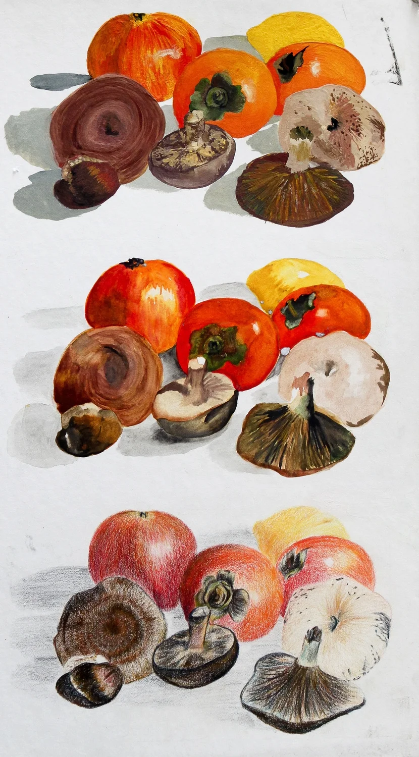 Autumn in the Kitchen