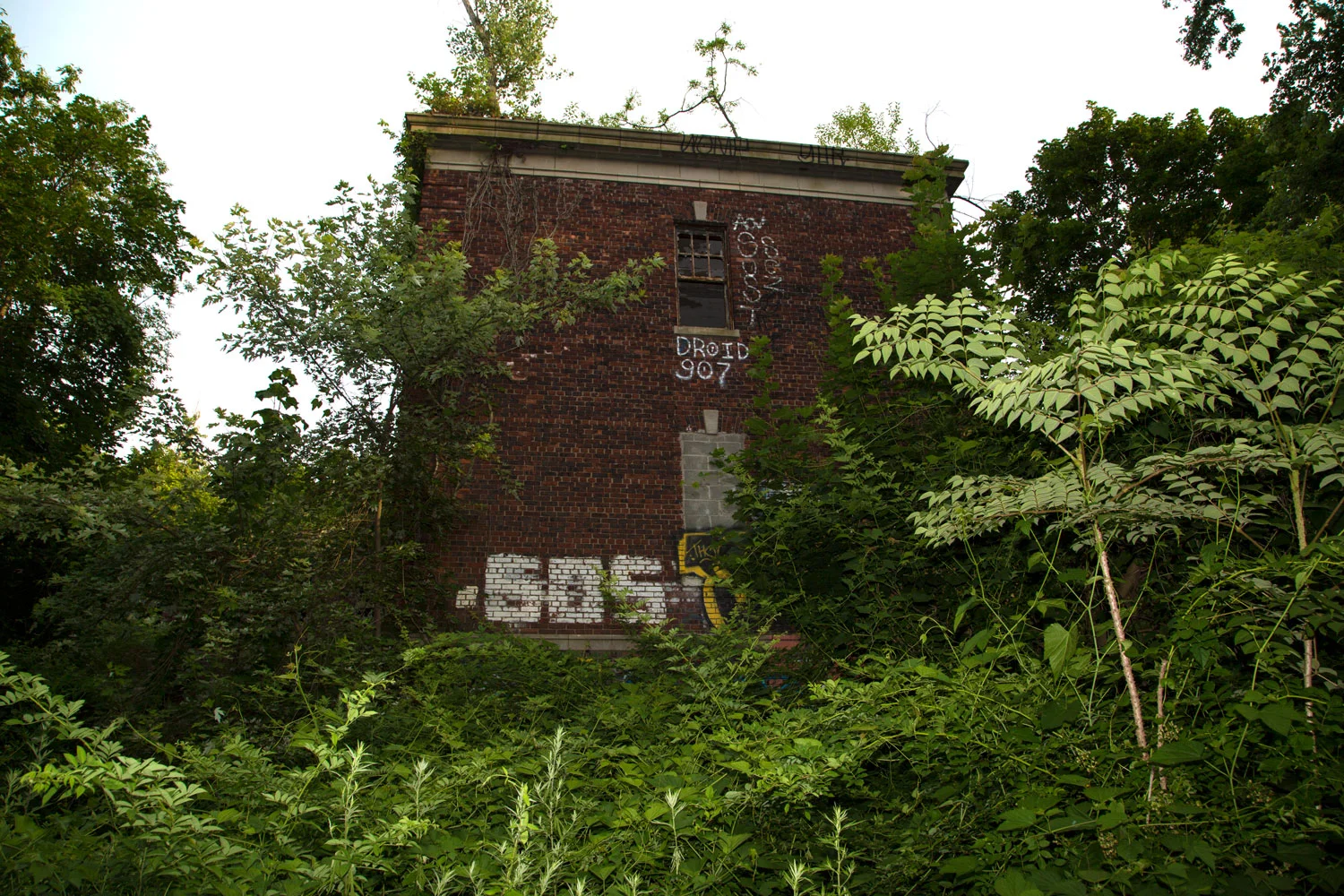 Droid-907-Building.jpg