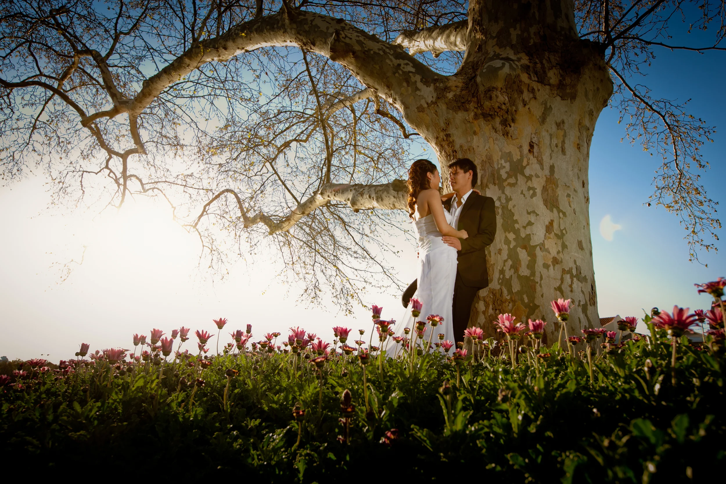 Professional Photography (Copy)
