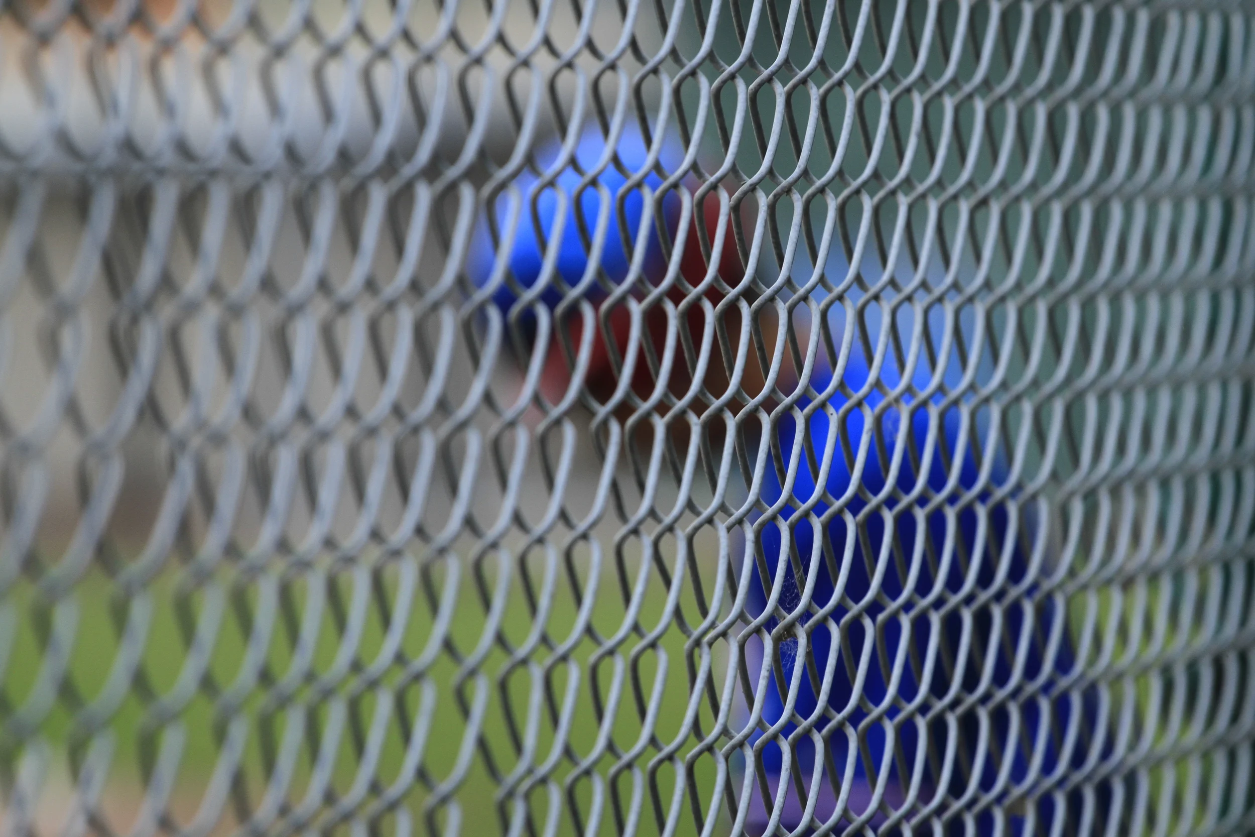 _MG_5681.JPG