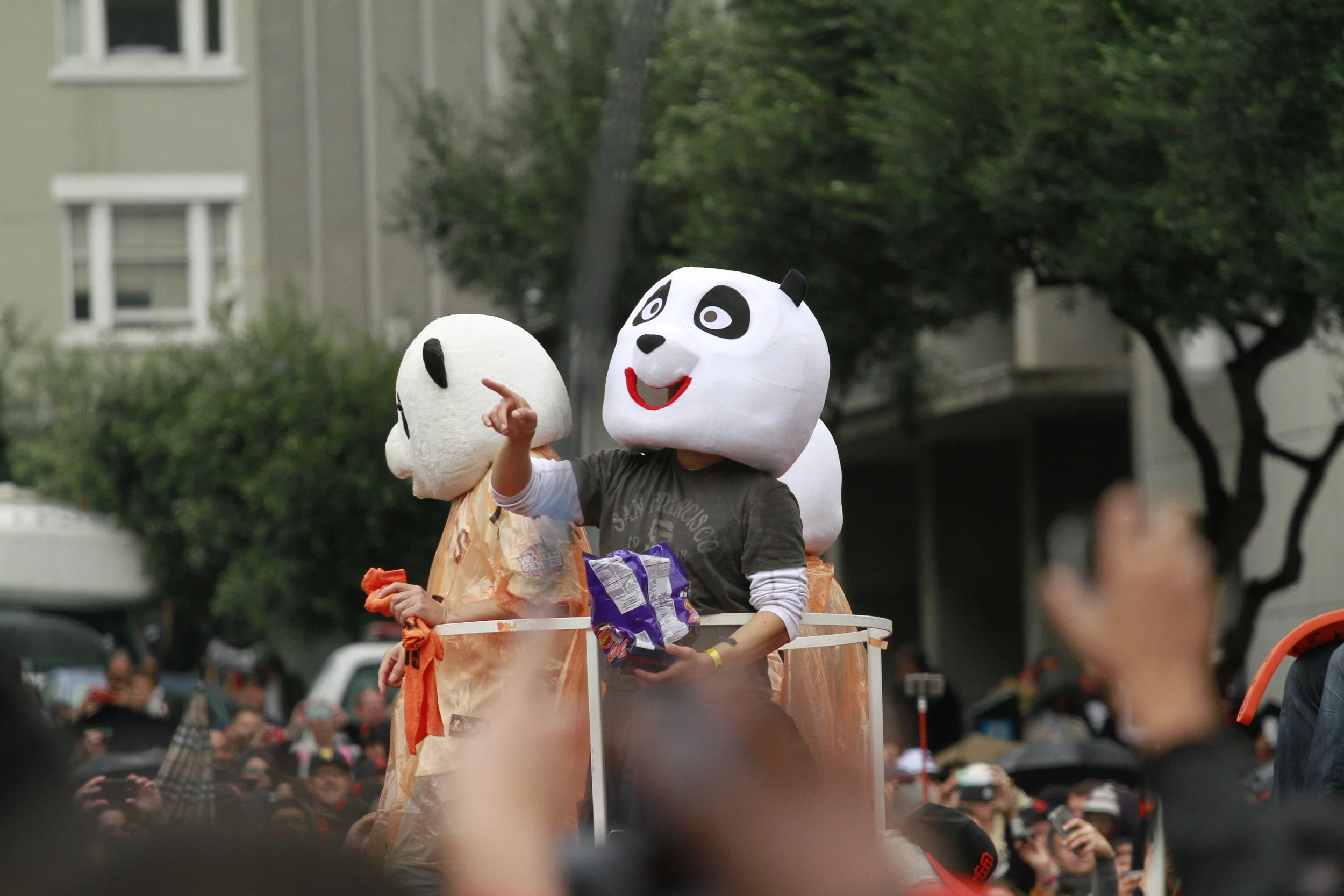 _MG_4176.JPG