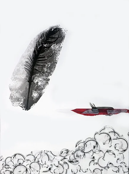 nestling territory 2011