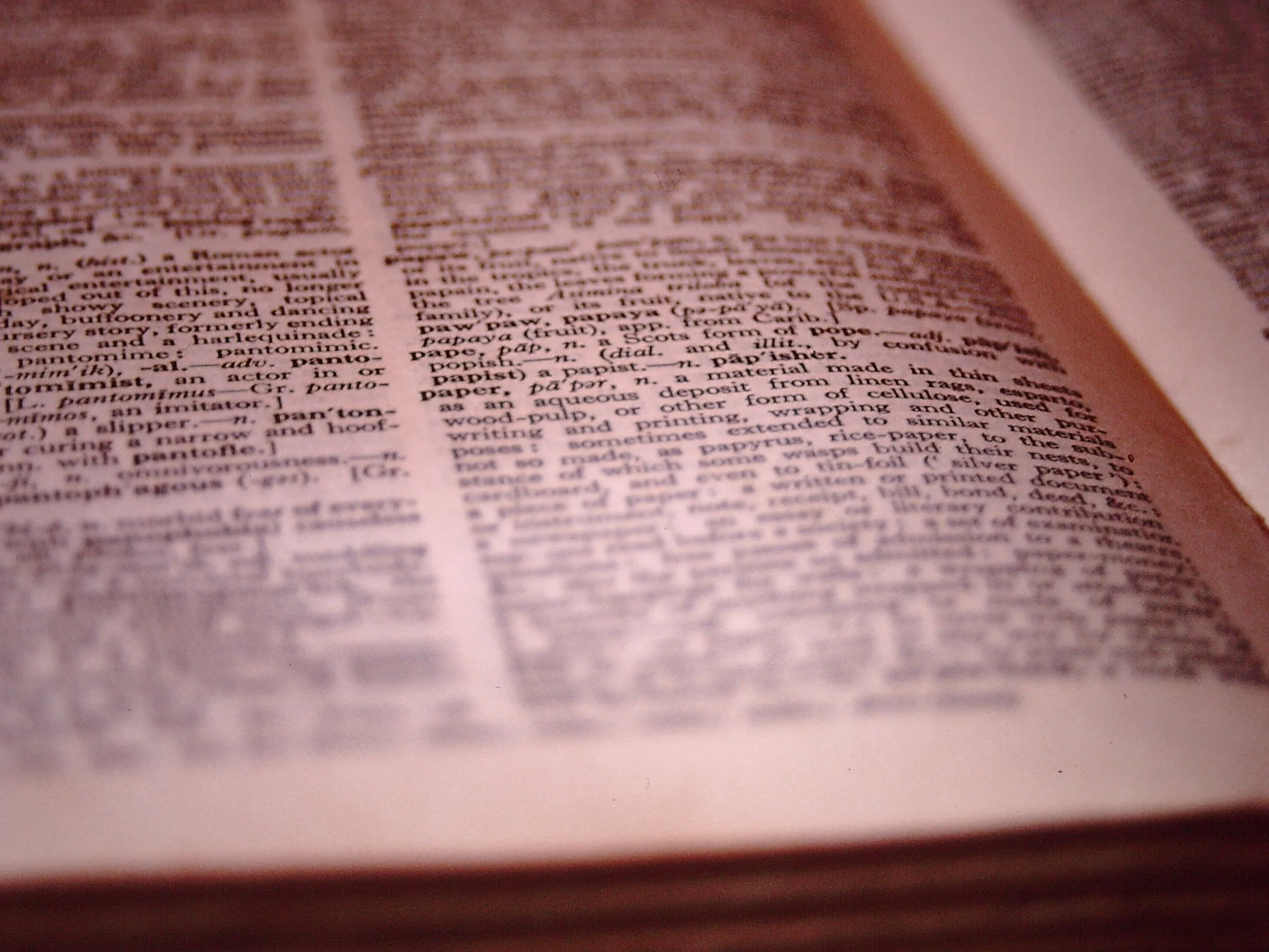 Dictionary open to page highlighting word ‘paper’.