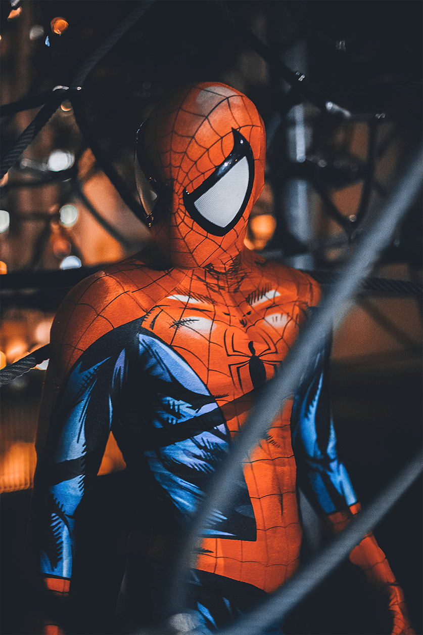 Your Friendly Neighbourhood Spiderman — Catch Online