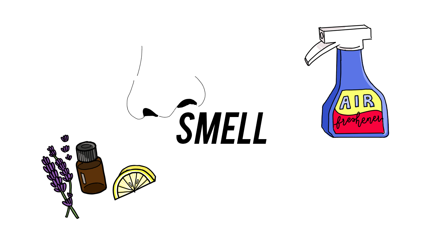 SMELL.png