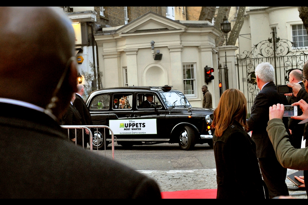 Well... there's something you don't see every day. Three Muppets in a cab.