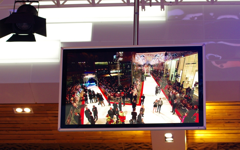 The ceiling mounted TVs in our area showed the quirky white carpet layout they had going. The stars would arrive at the top left, and worked their way around to the top of the right branch where the escalators leading up into Westfield were, along with another long length of white carpeting. THAT'S where I was (apparently you can walk the length in 3 minutes. It took the stars 90. But I'm getting ahead of myself)